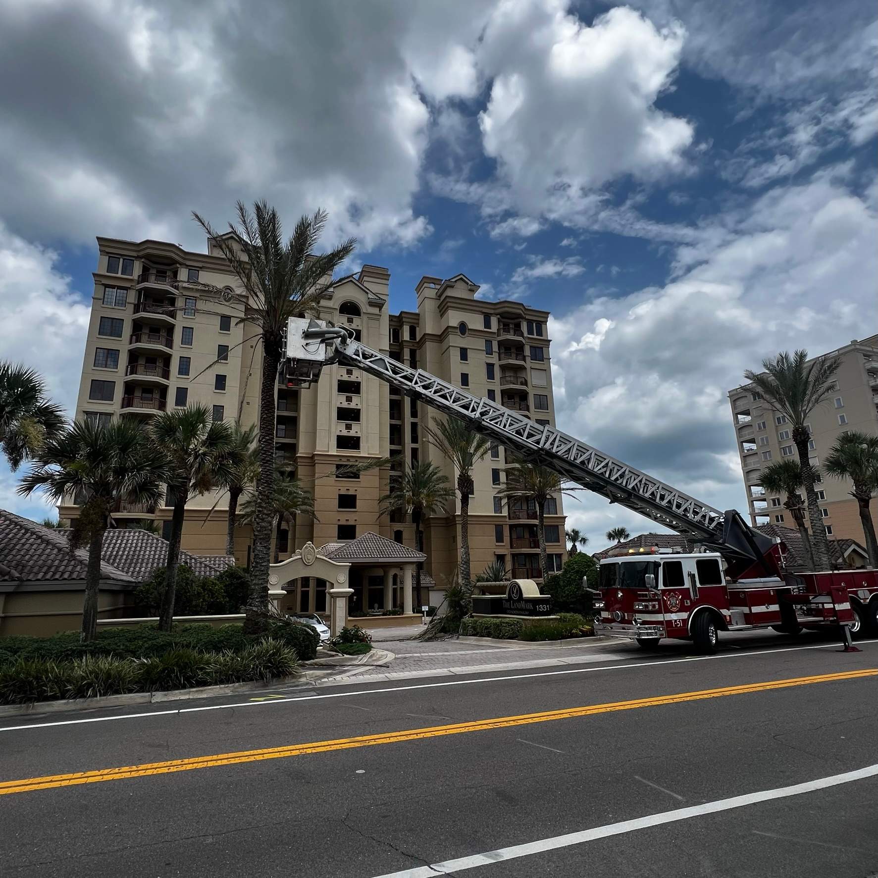 Palm Trimming | Landmark Condominiums by ProGreen Services