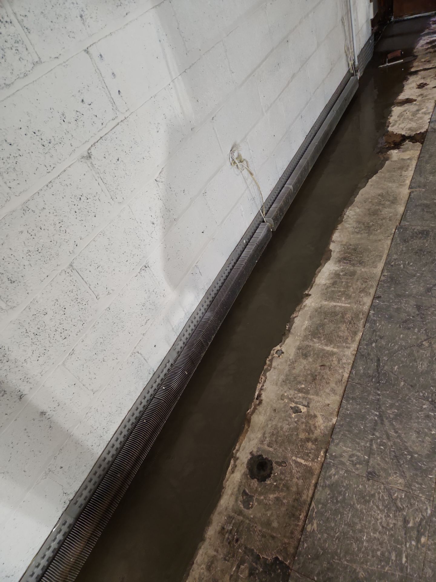 Interior French Drain Newark, NJ by Pure Service Pro, LLC 