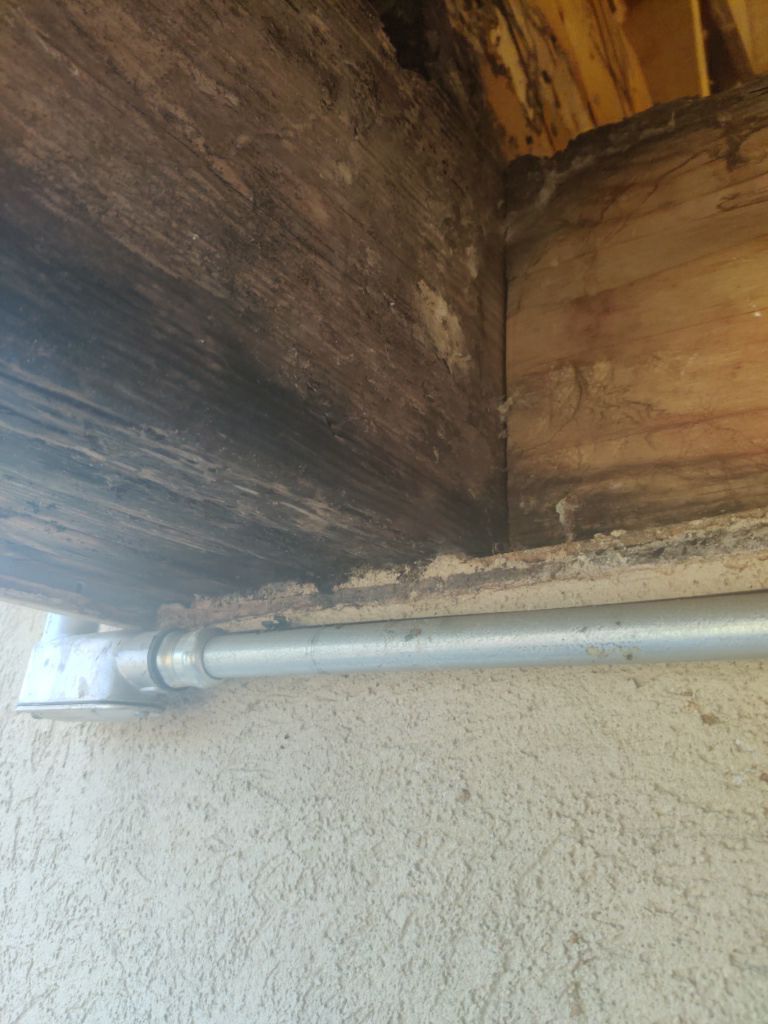 Mold Remediation in Bathroom by Accountable Home Services