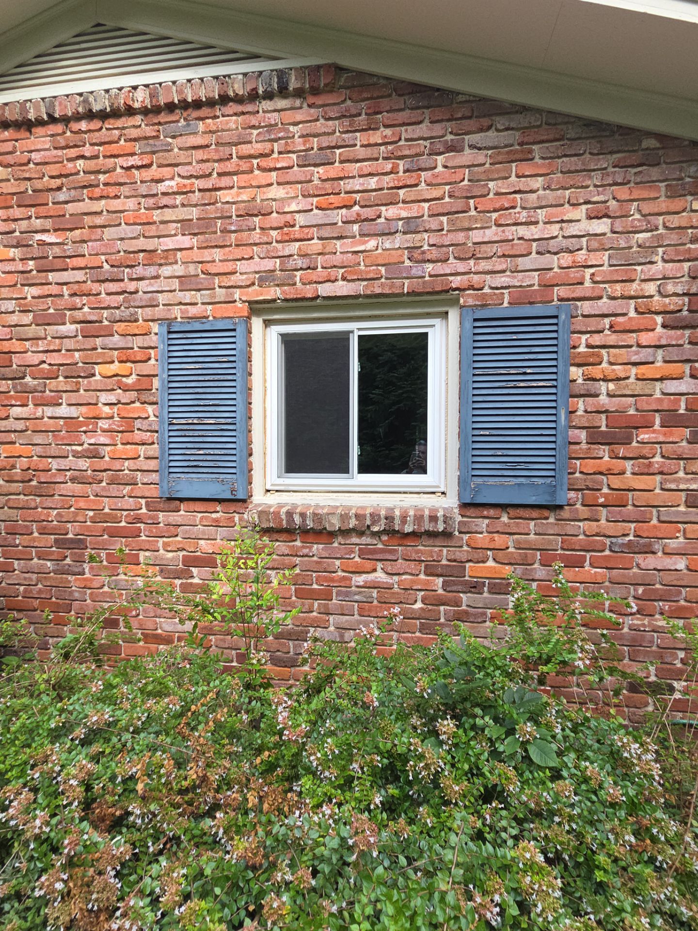Project in Mountain Brook by The Window Source