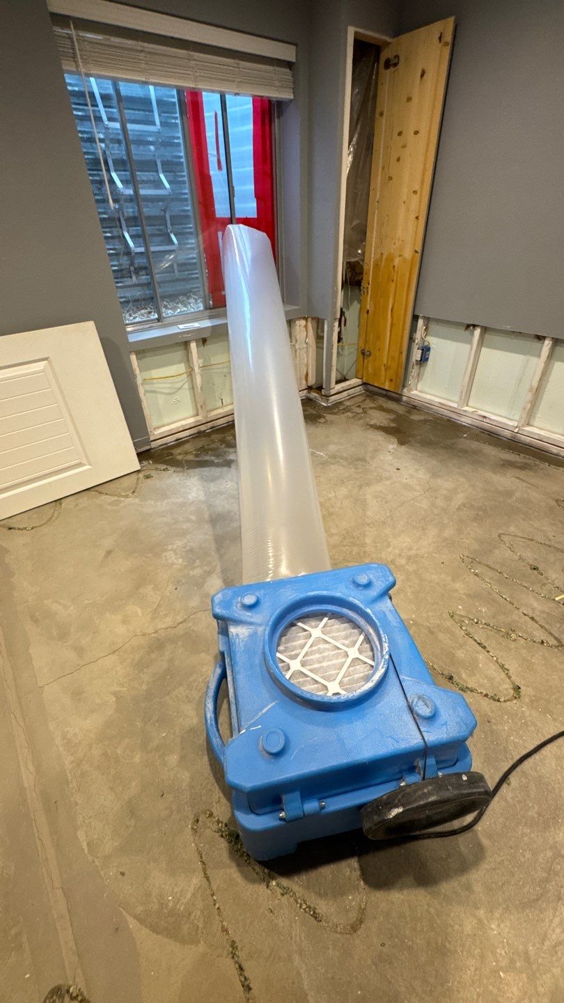 Mold Project in Thornton by Accountable Home Services