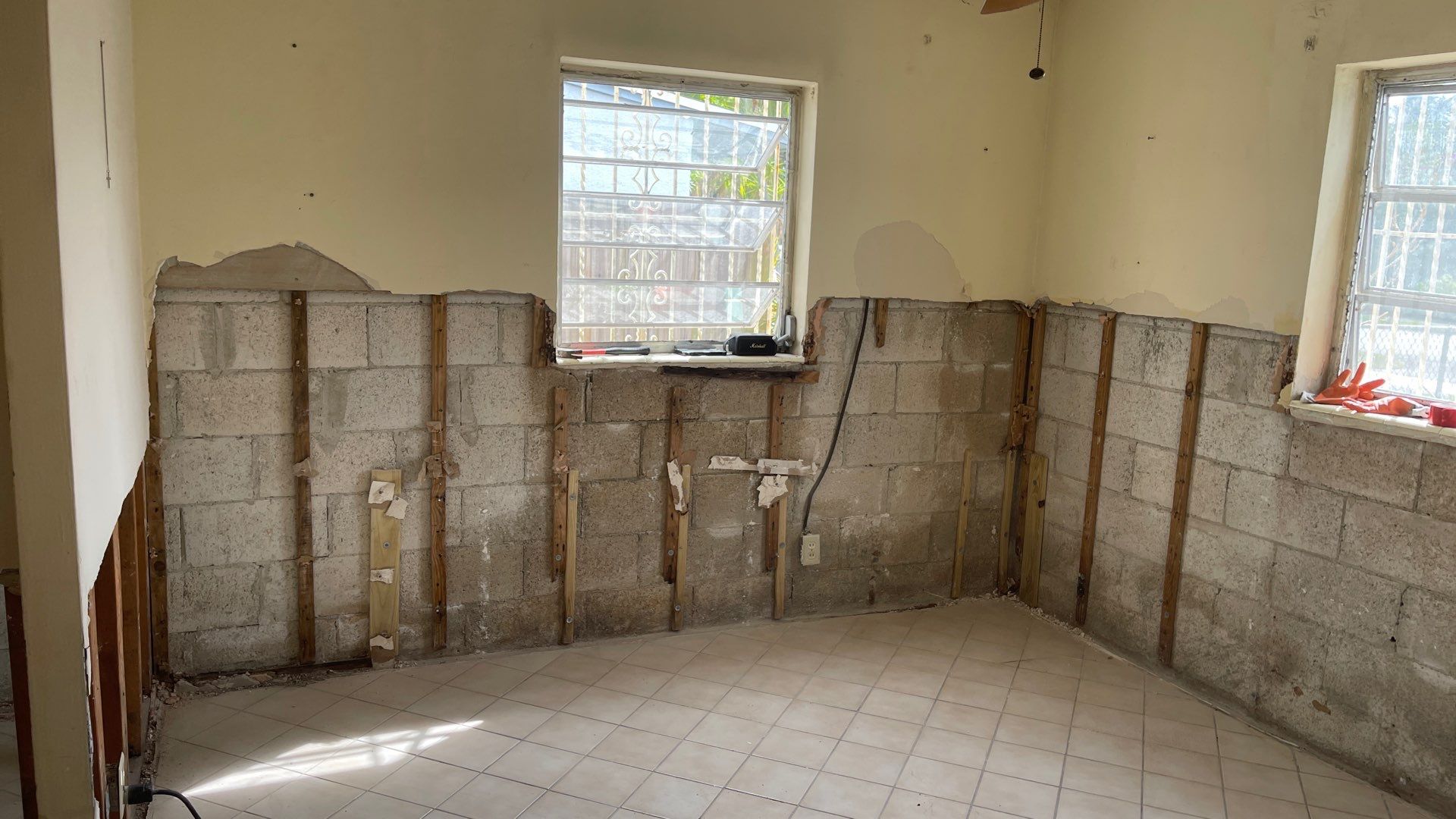 Mold Remediation  by THE RAPID TEAM