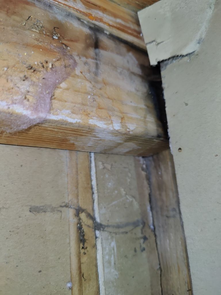 Water Damage by Accountable Home Services