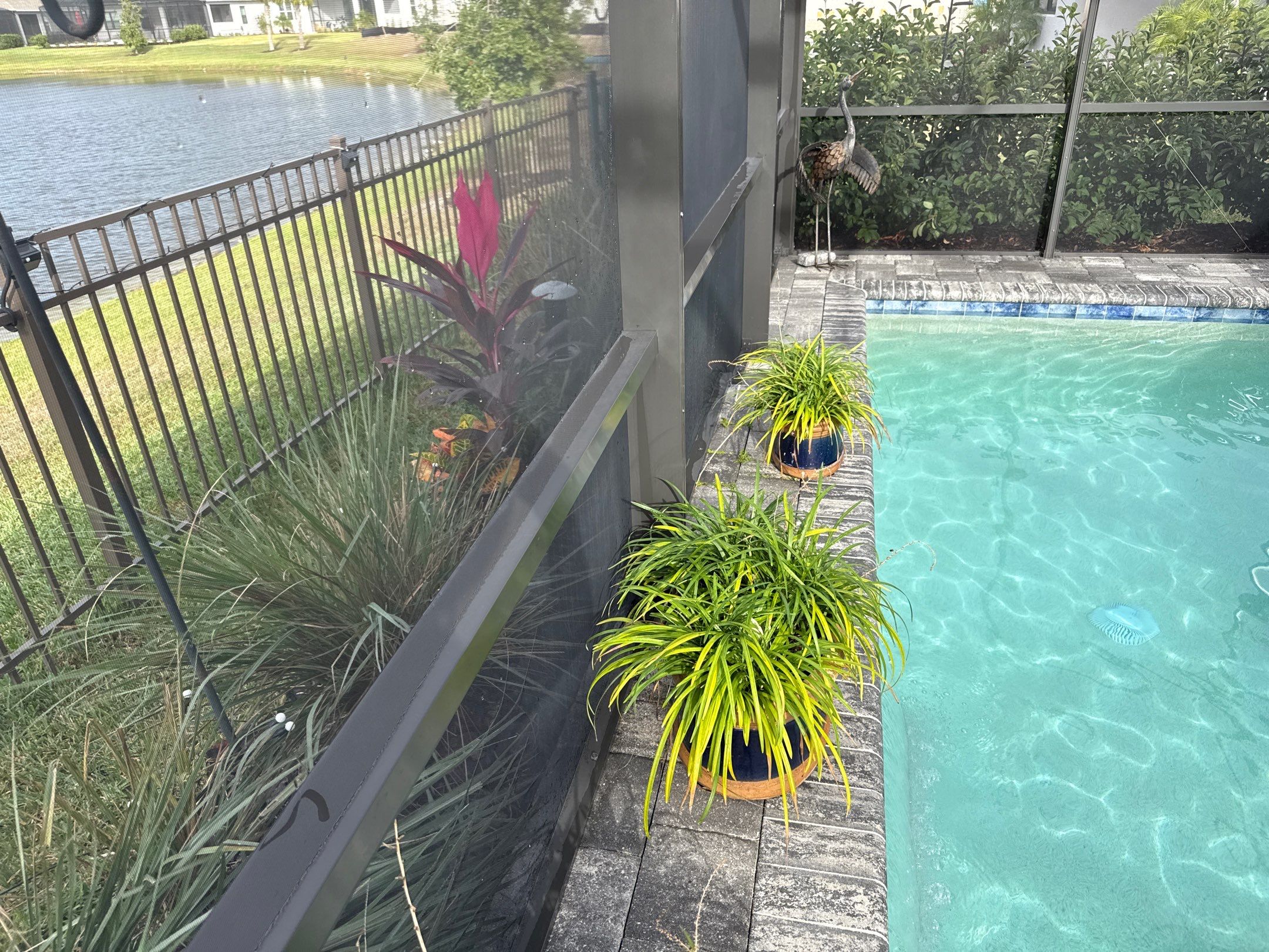 Construction debris on Pool Cage Screen Enclosure Cleaning by Sunshine AquaWash