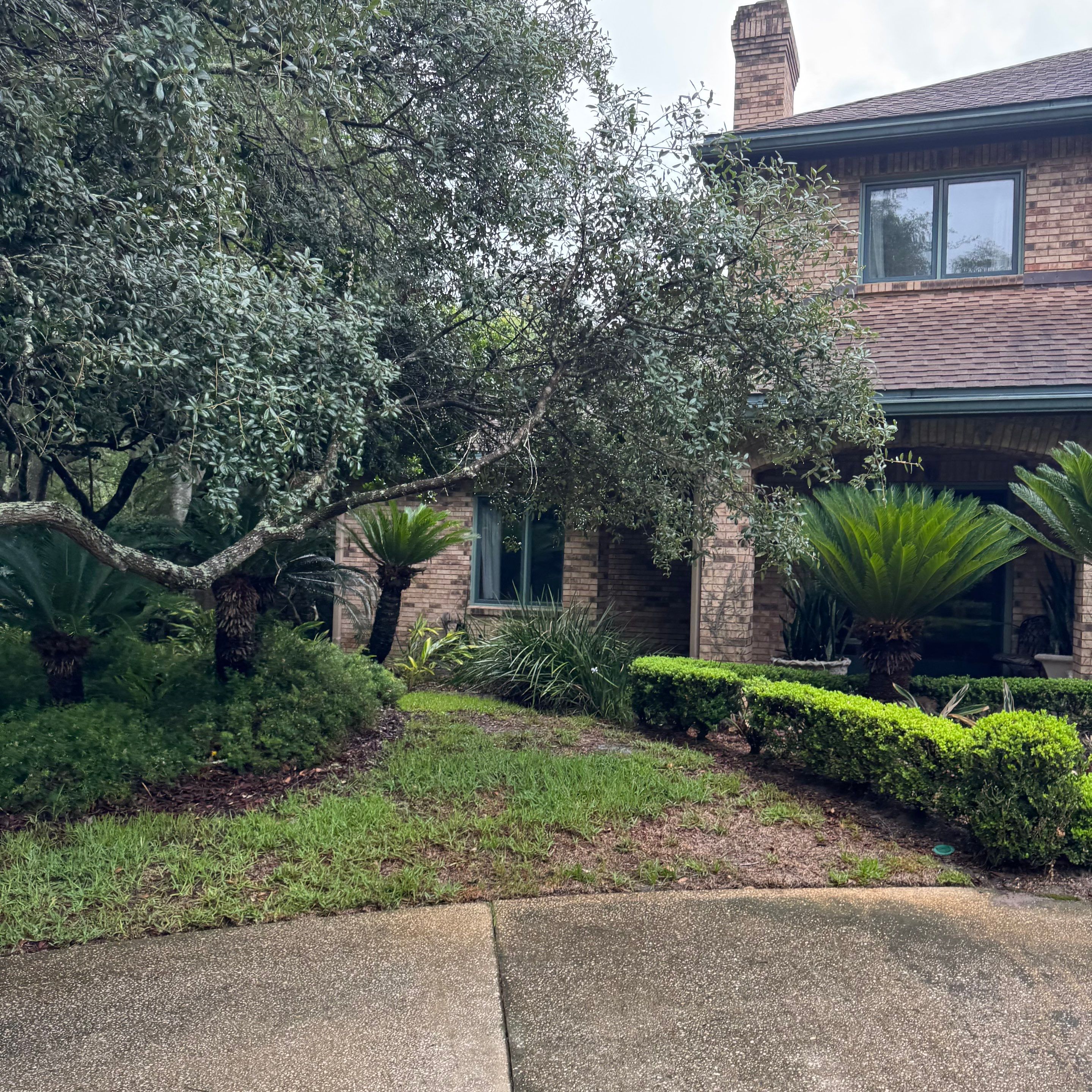 Deerwood Resident | Tree Removal & Trimming by ProGreen Services