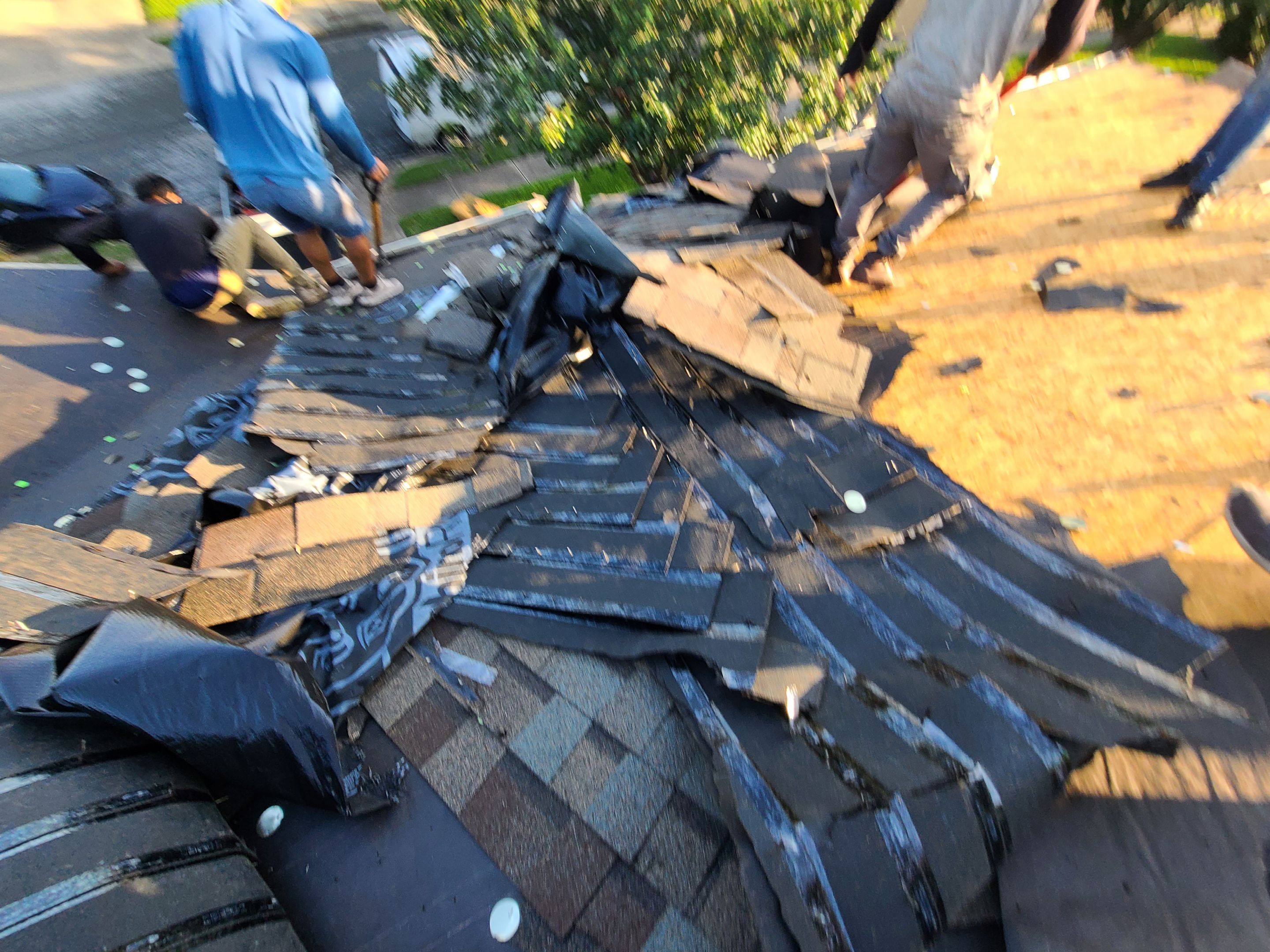 Architectural Shingle Roof Replacement and Sheathing Upgrades in Round Rock by Caliber Restoration LLC