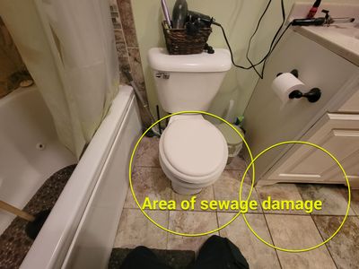 Toilet Overflow