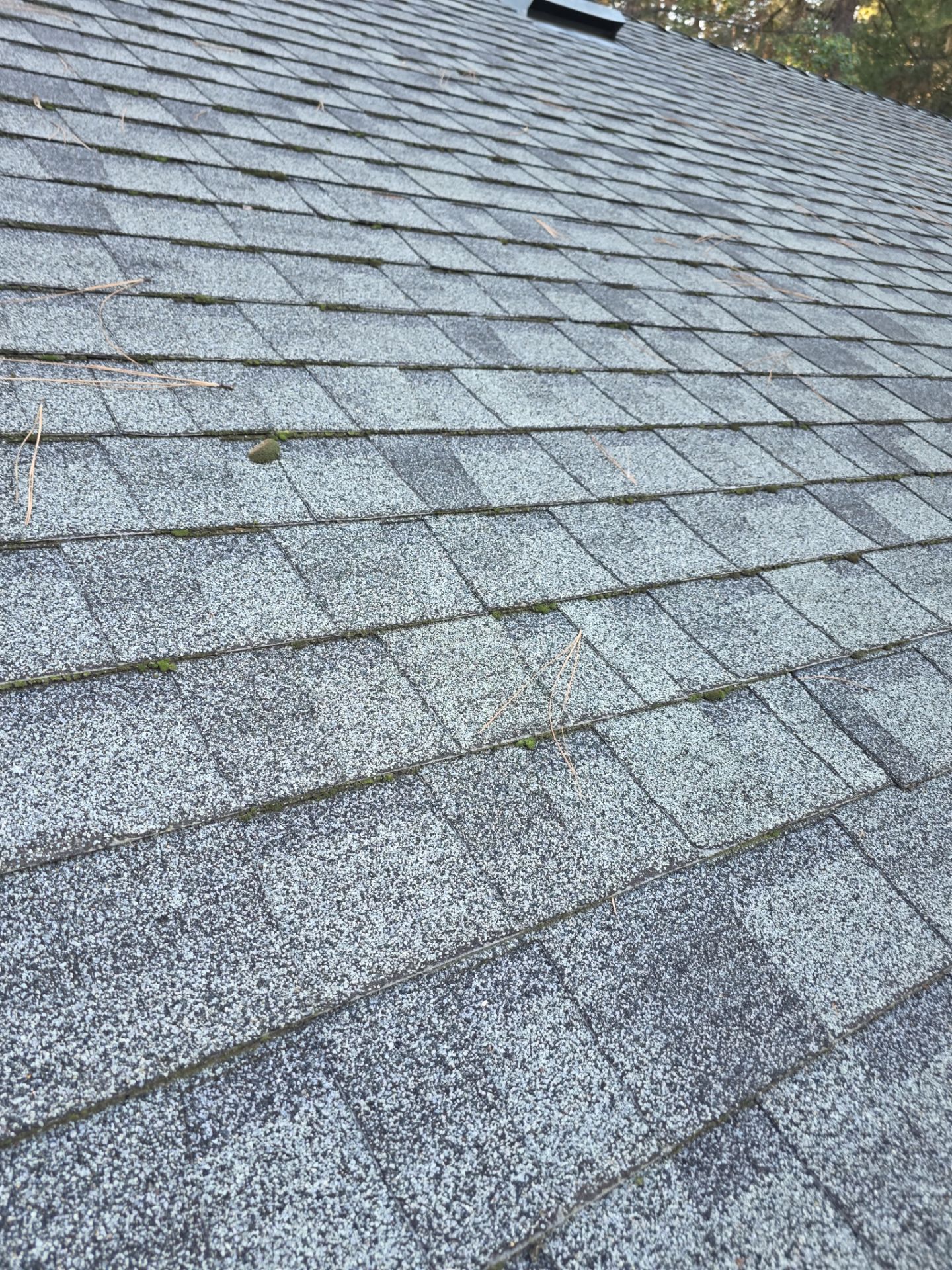 Roof Rejuvenation using Roof Maxx Treatment by Roof Maxx of Folsom