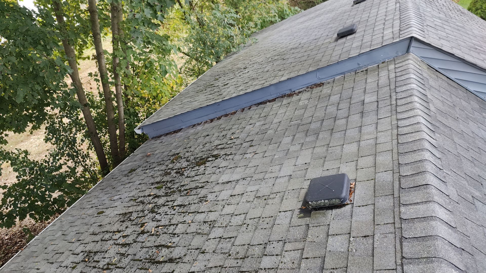 Roof Replacement using Owens Corning Midnight Plum by 180 Contractors