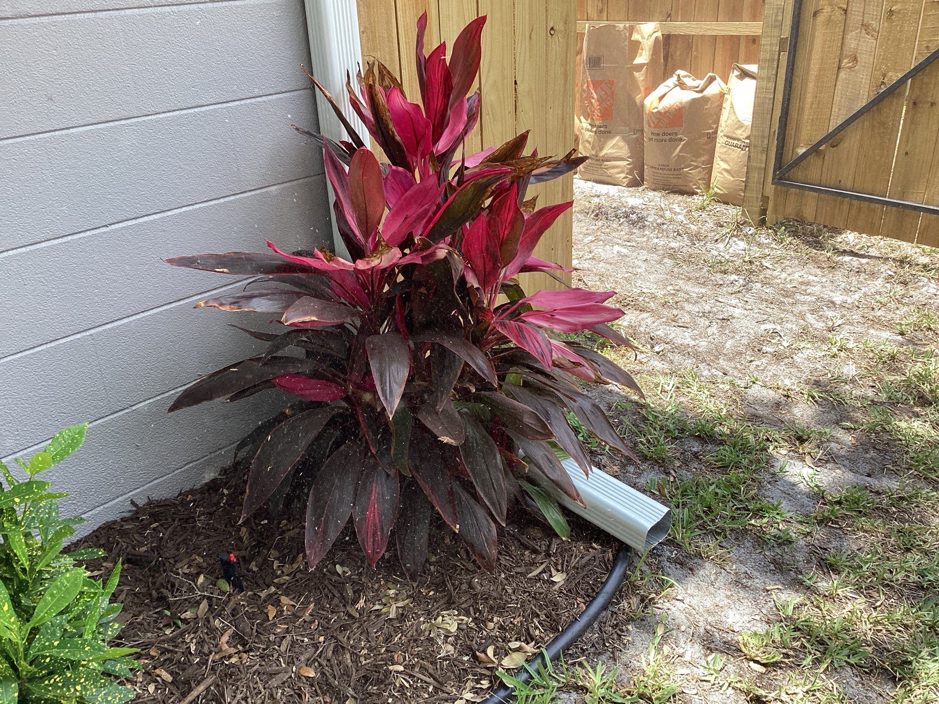 White K Style Seamless Gutters using 3X4 Elbow Downspout in Sarasota FL by Gutter Professors