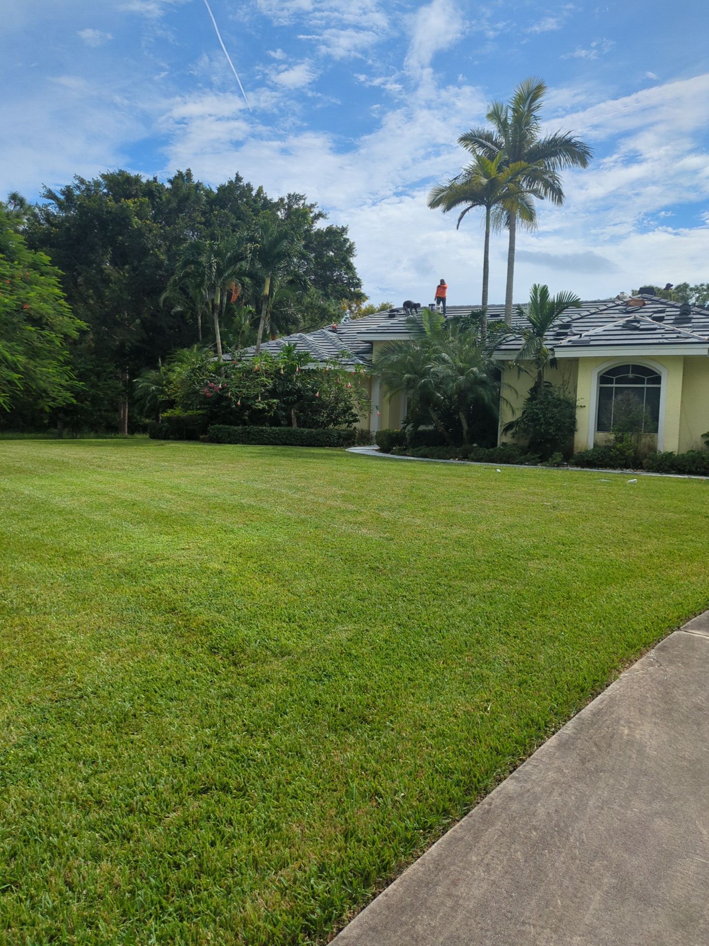 Concrete Tile Roof Replacement using Concrete Roof Tile by Aastro Roofing