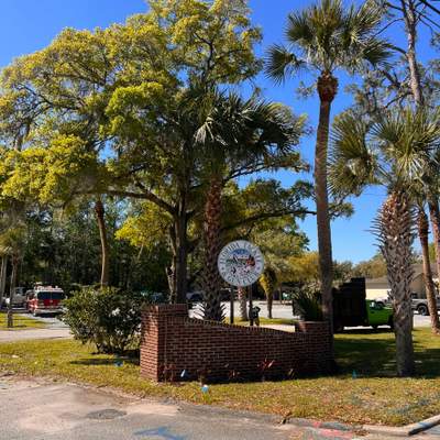 Tree Work | Florida Gun & Tackle