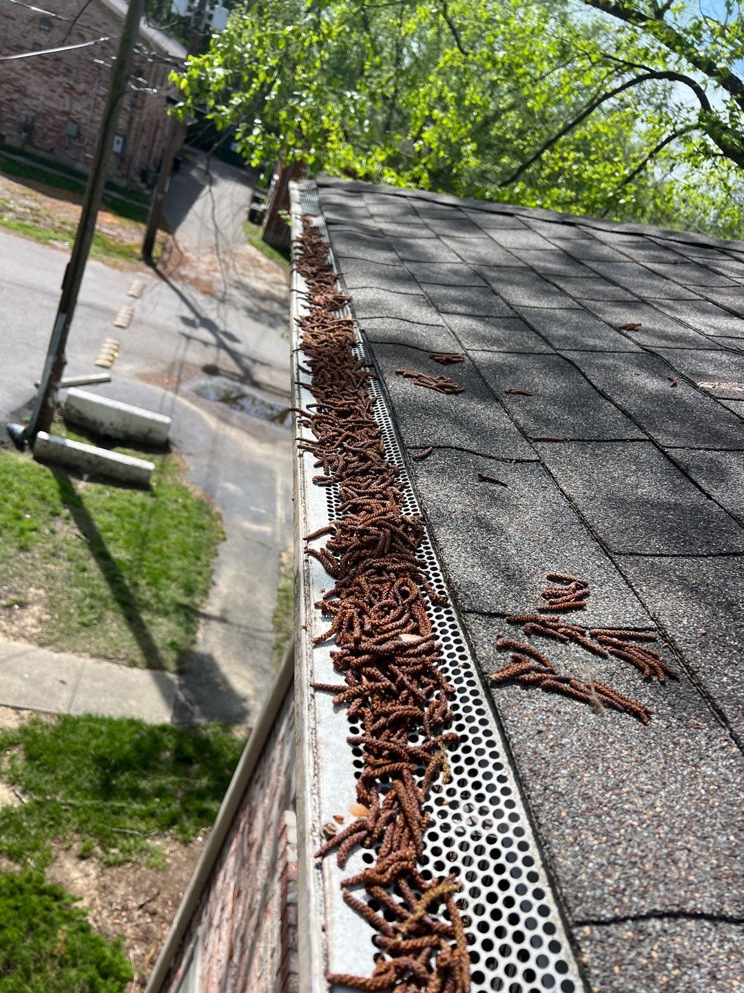 Commercial gutter cleaning Kentucky before photo with filled gutters