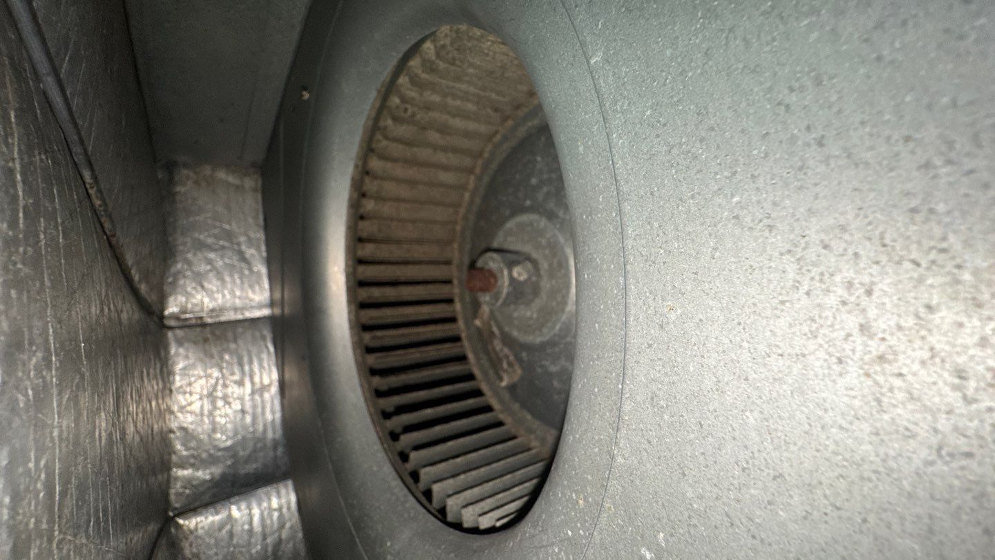 Extremely Dirty Air Duct Cleaning in Fruitland Park by Hygienic Air, Inc