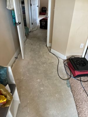 Ceiling Leak Repair — Naples, FL