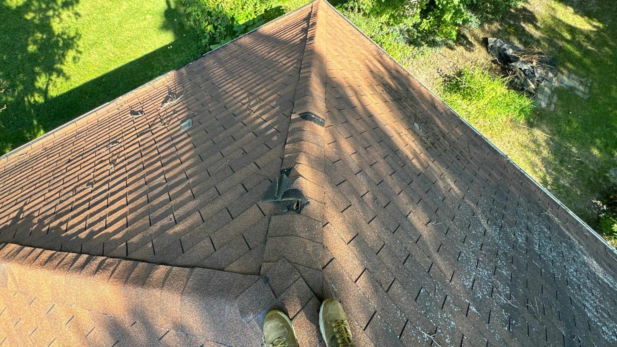 Roof Replacement using Owens Corning Summer Harvest by 180 Contractors