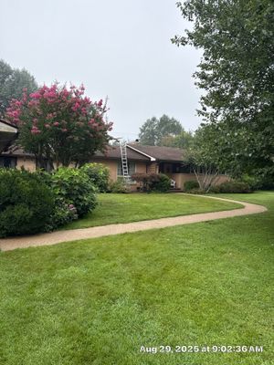 Dockens
