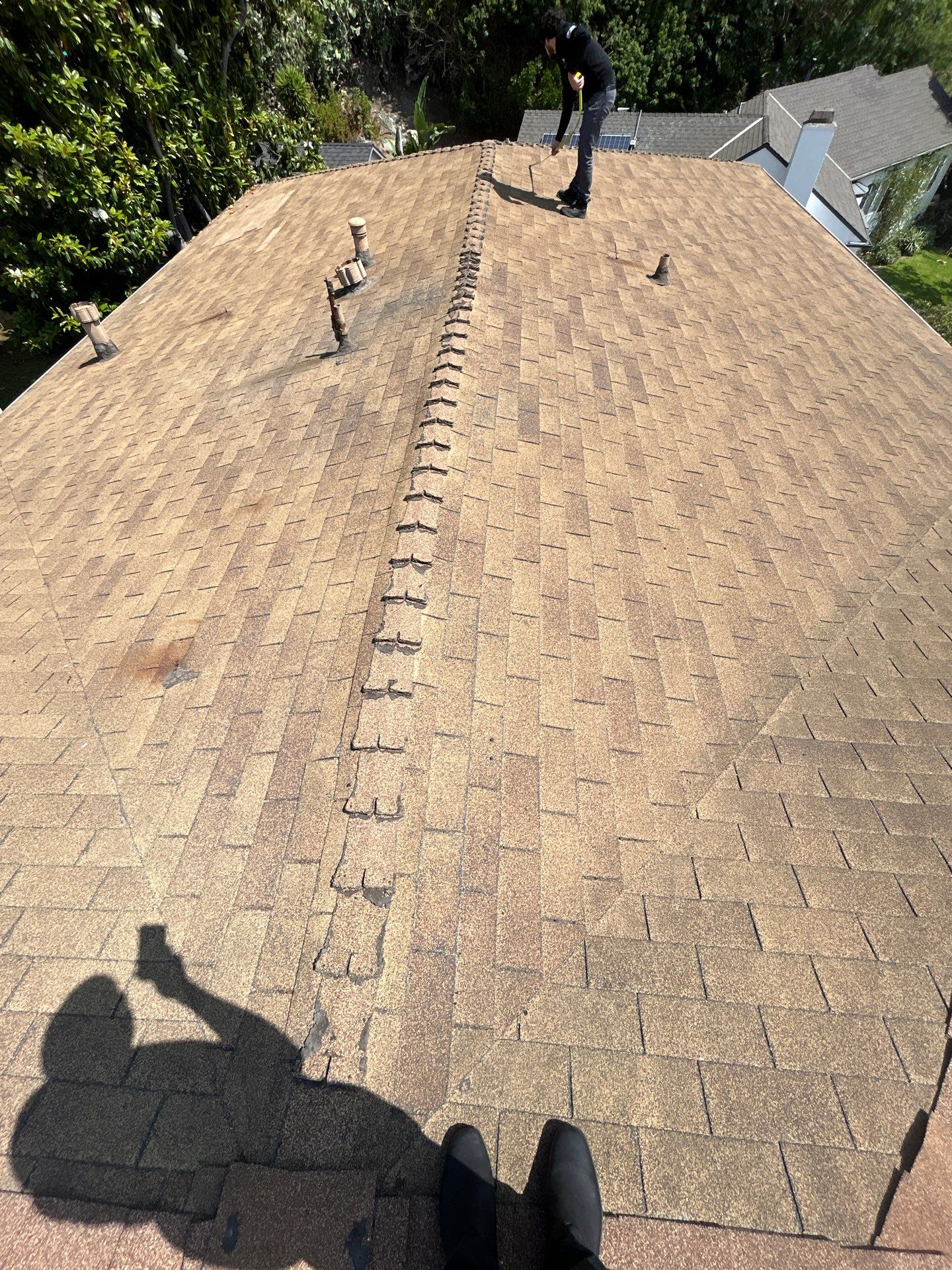 50-Year Asphalt Shingle System by Hull Brothers Roofing