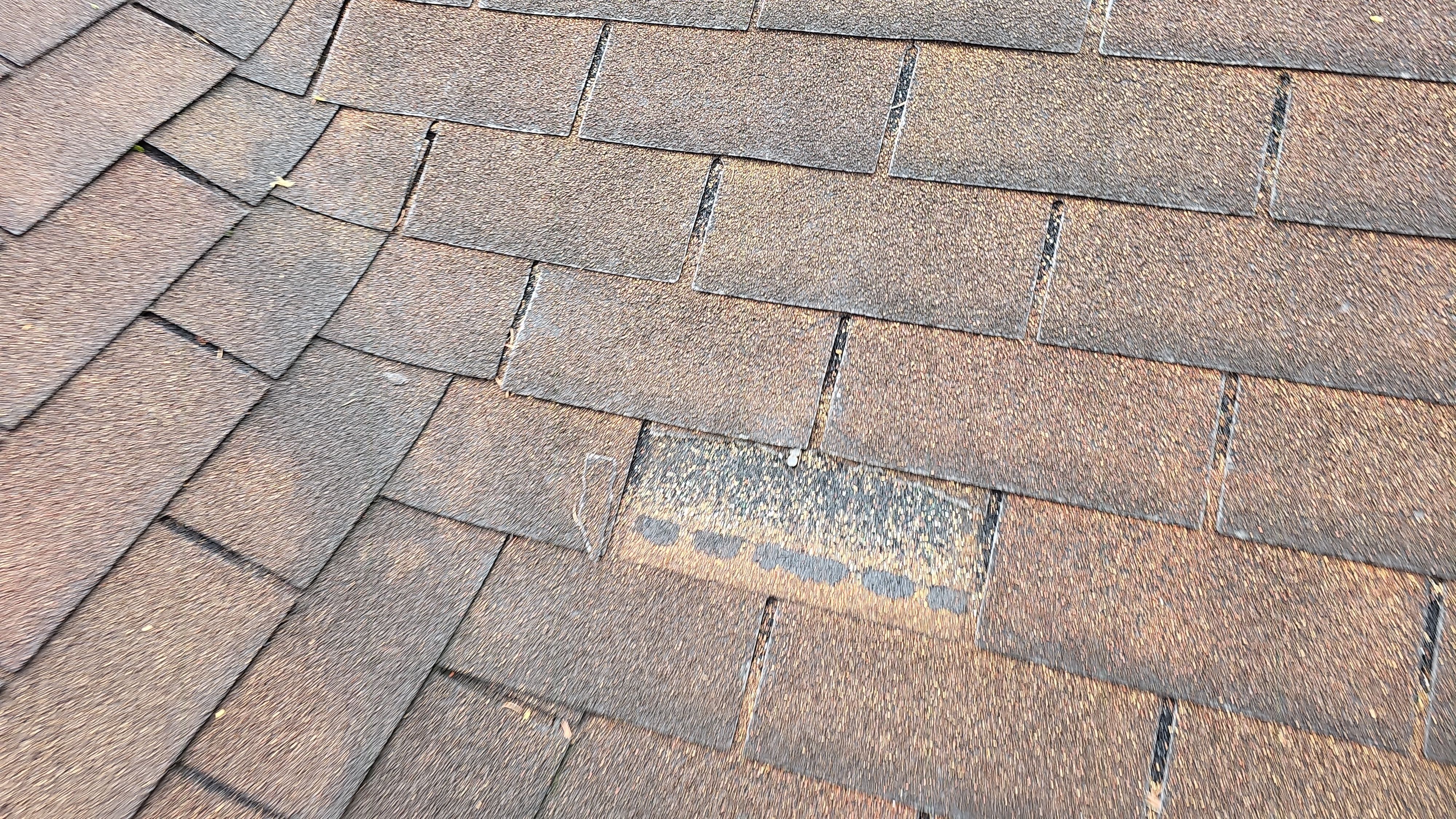 Atlas Pinnacle, Color, Morning Harvest, Drip Edge, Color, Royal Brown by Eagle Eye Roofing