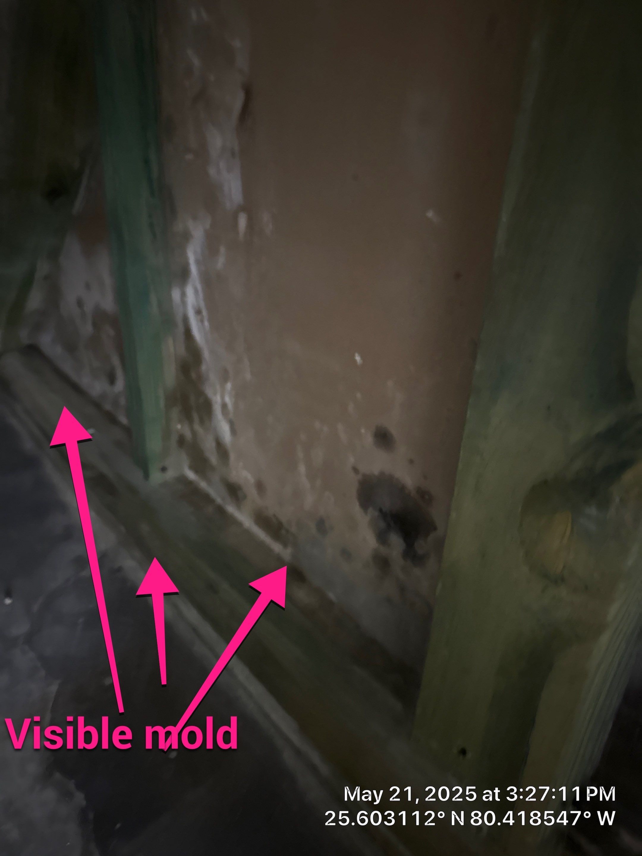Mold Remediation  by SuperClean 