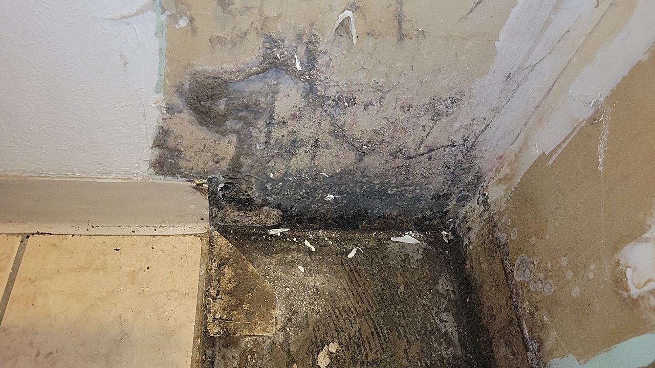 Water Damage by Accountable Home Services