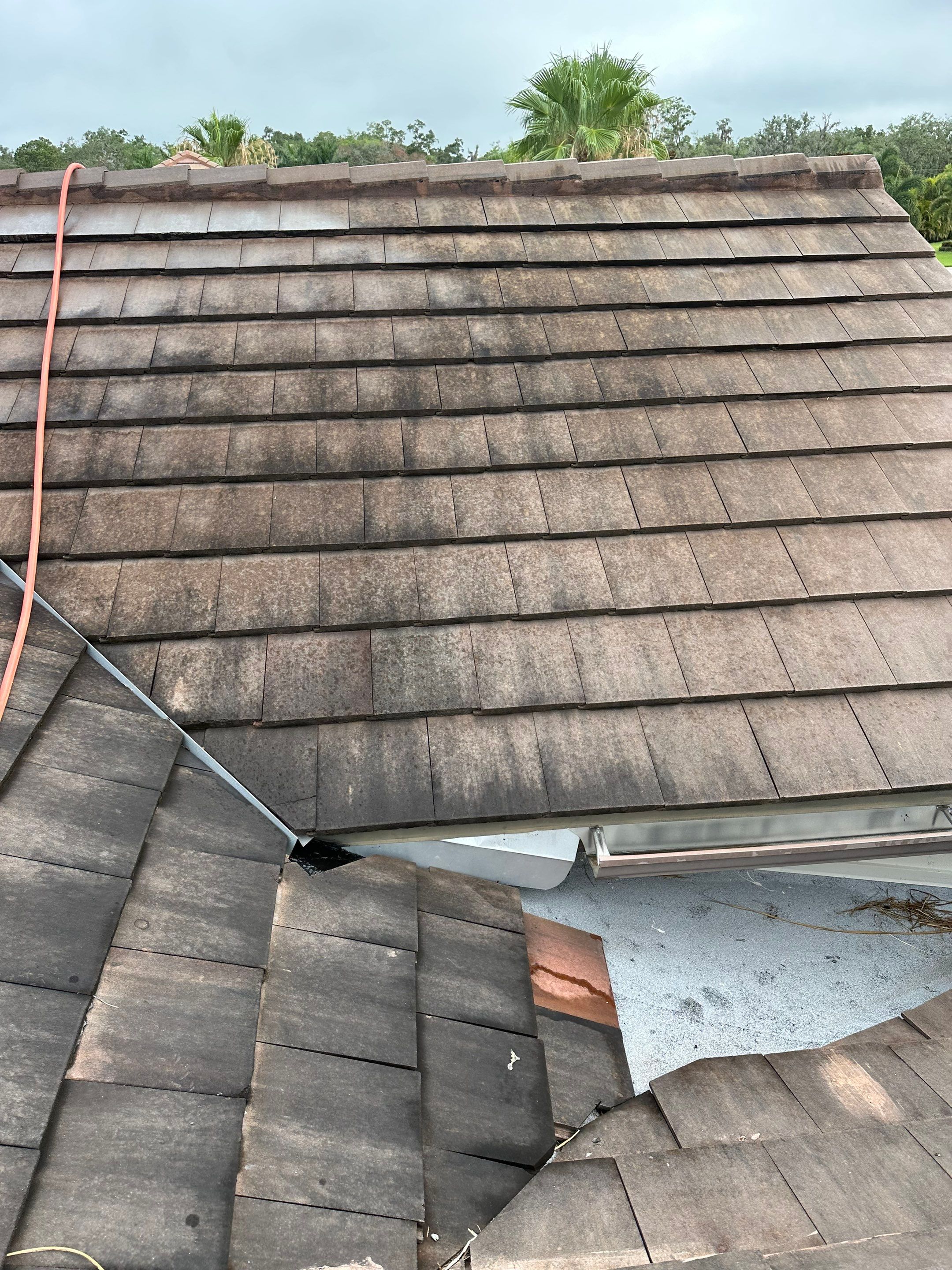 Flat Tile Roof Cleaning, House Wash & Sidewalk Cleaning in Enclave at Country Meadows, Bradenton, FL | Sunshine AquaWash by Sunshine AquaWash