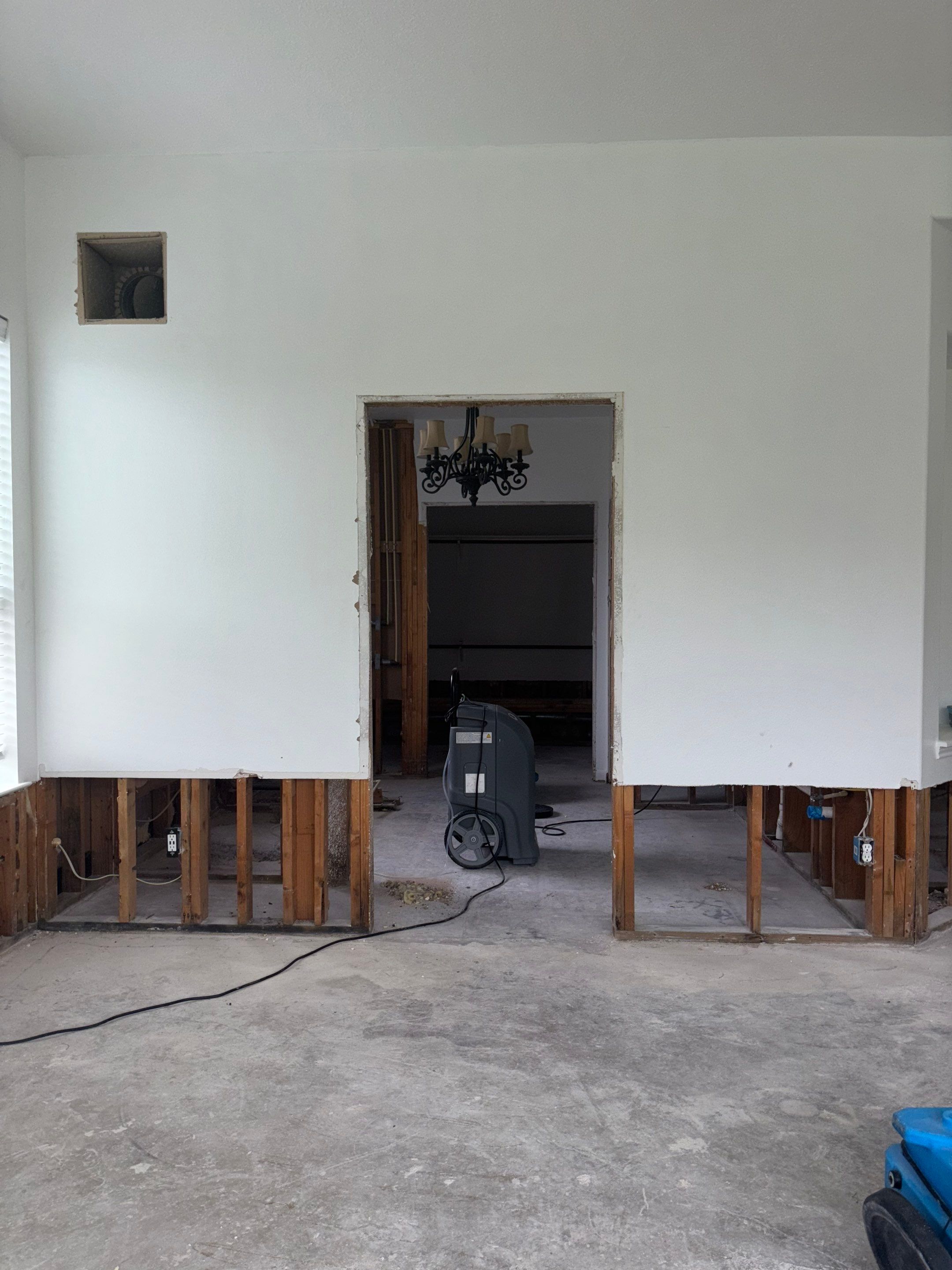 Mold Remediation Job in Cypress by Team Home Solutions
