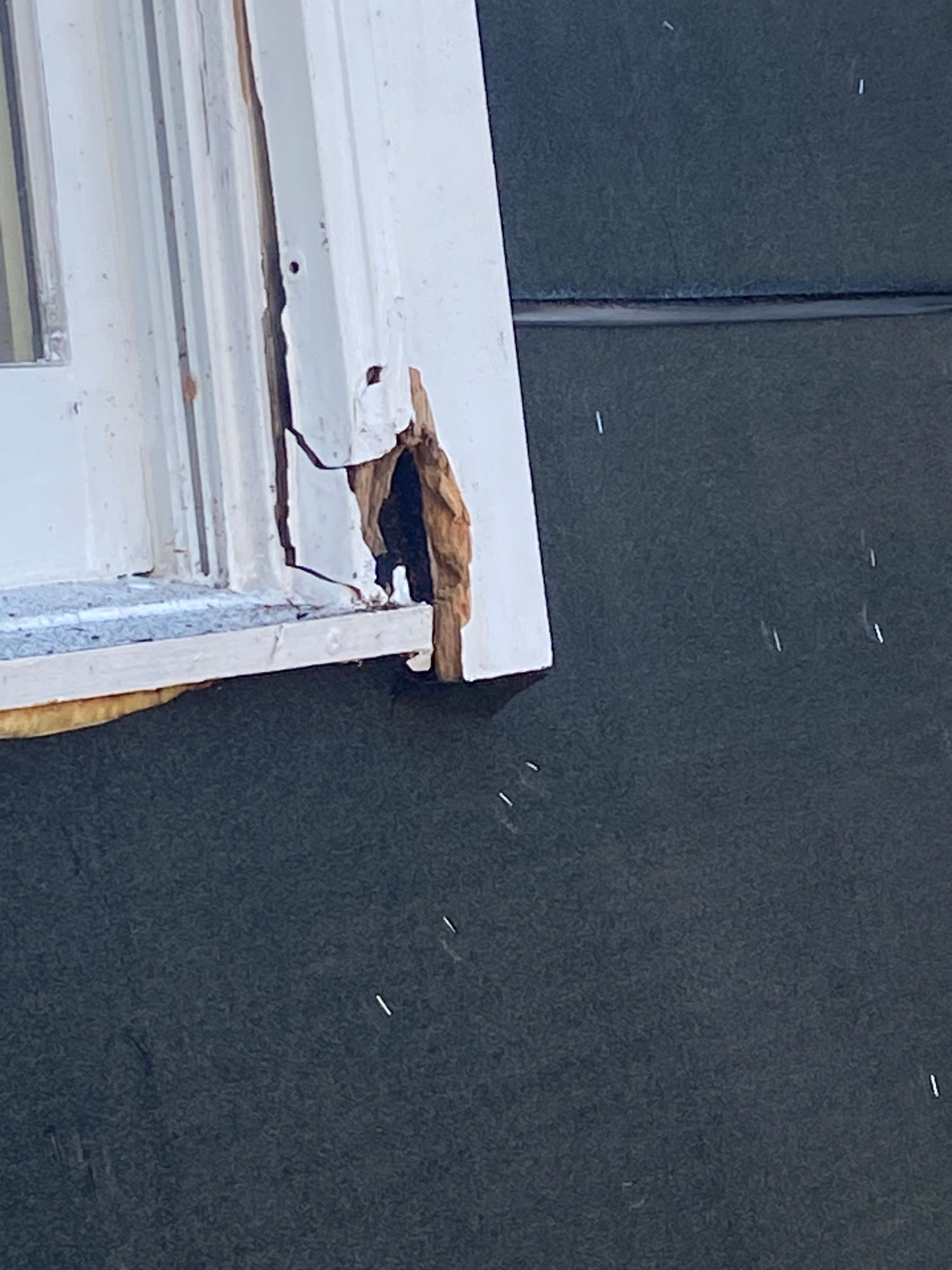 Woodbridge: Residential Roof Replacement with CertainTeed Landmark Pro in Max Def Moire Black by RM Banning, Inc.