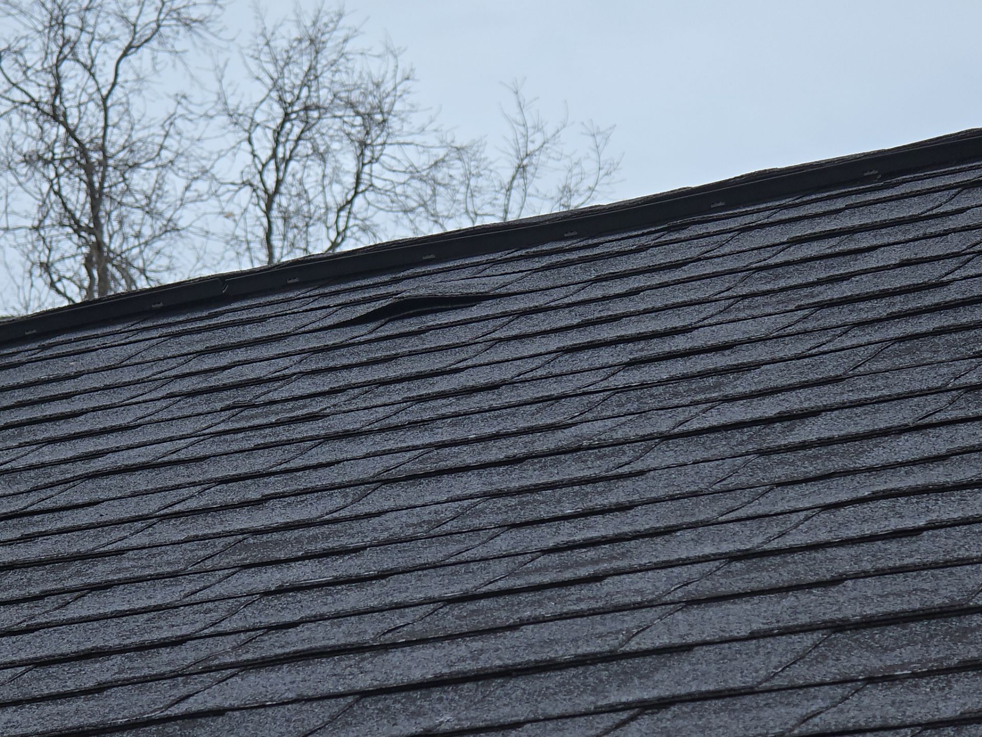 Abby D: Atlas Pinnacle, Color, Black Shadow, Drip Edge, Black by Eagle Eye Roofing
