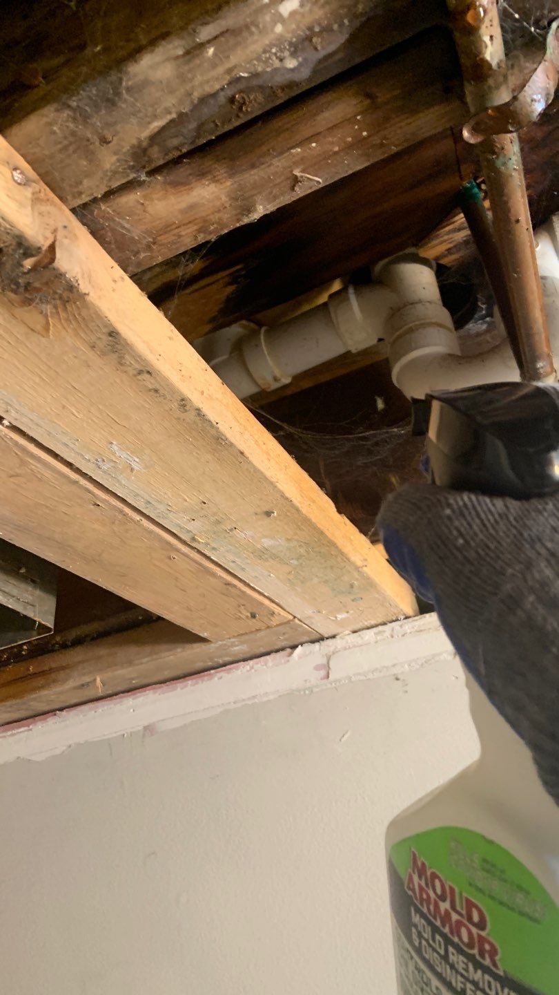 Ceiling & Shower Repair by A1 NERDY HOMES LLC