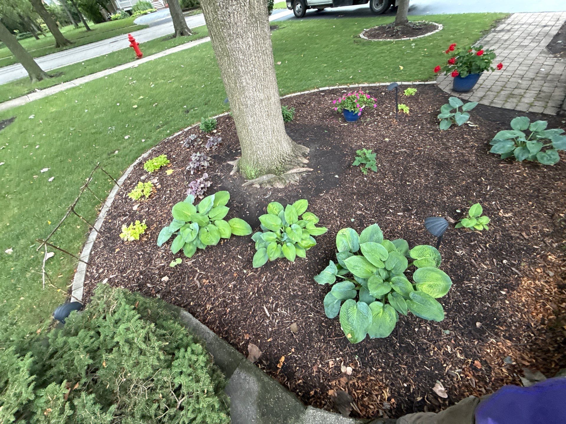 Karen M. - Palatine, IL by A&N