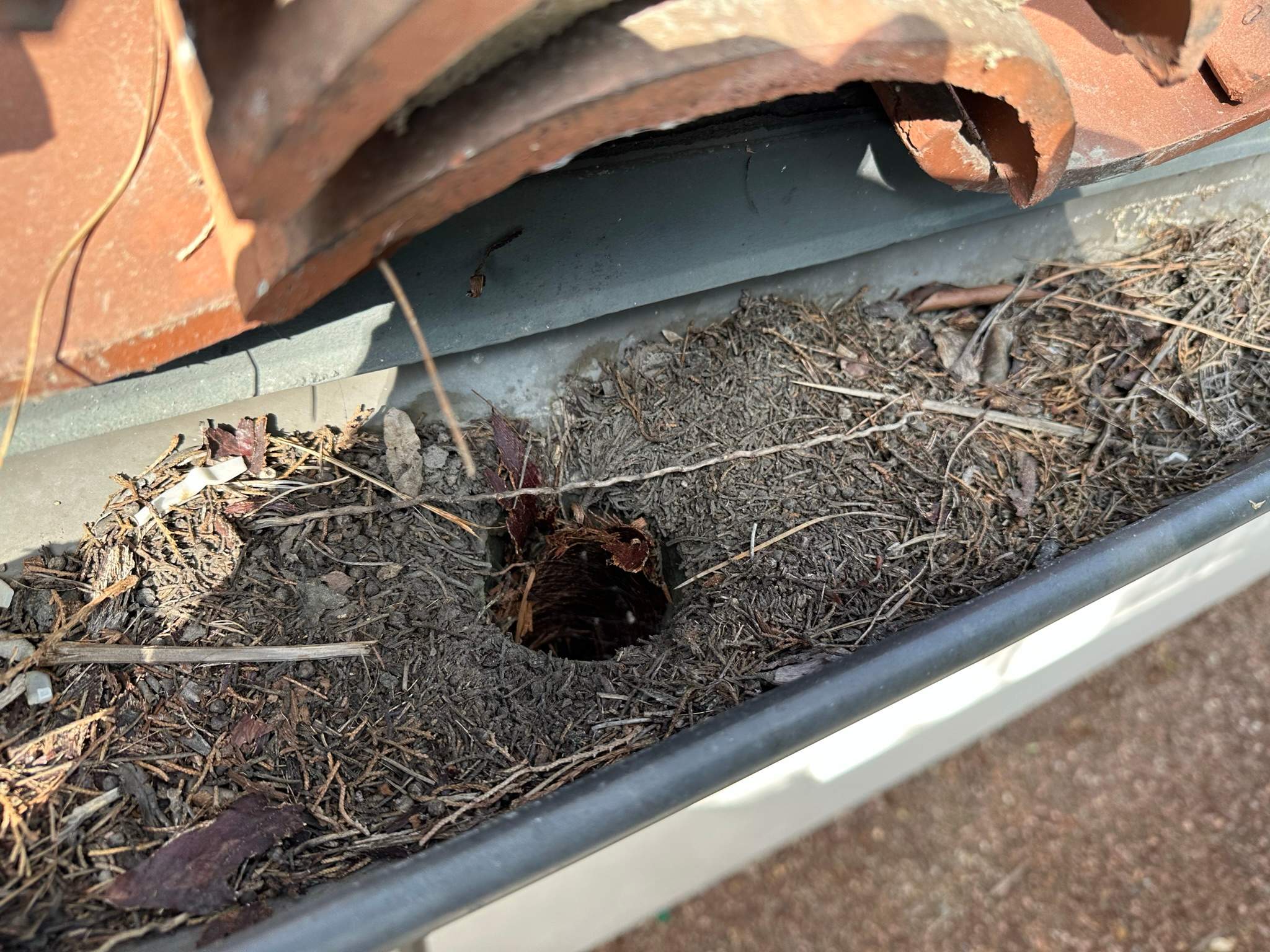 Orange County Gutter Cleaning by Property Cleaning Experts