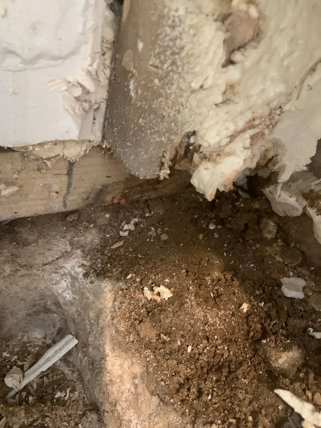 Fixing a Persistent Leak for Dustin in New Brighton by Waterproofing Northeast