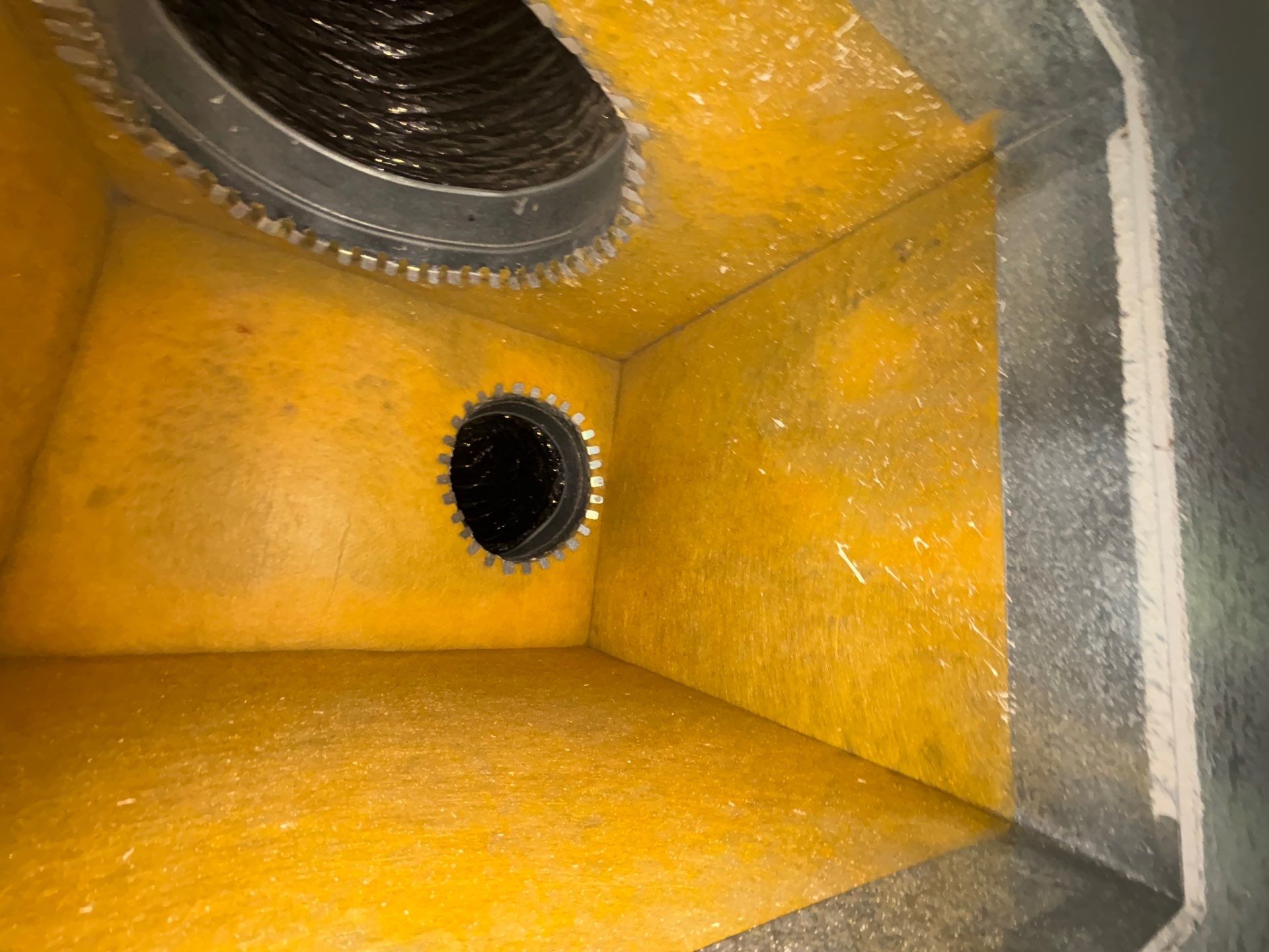 Air Duct Cleaning in Windermere by Hygienic Air, Inc
