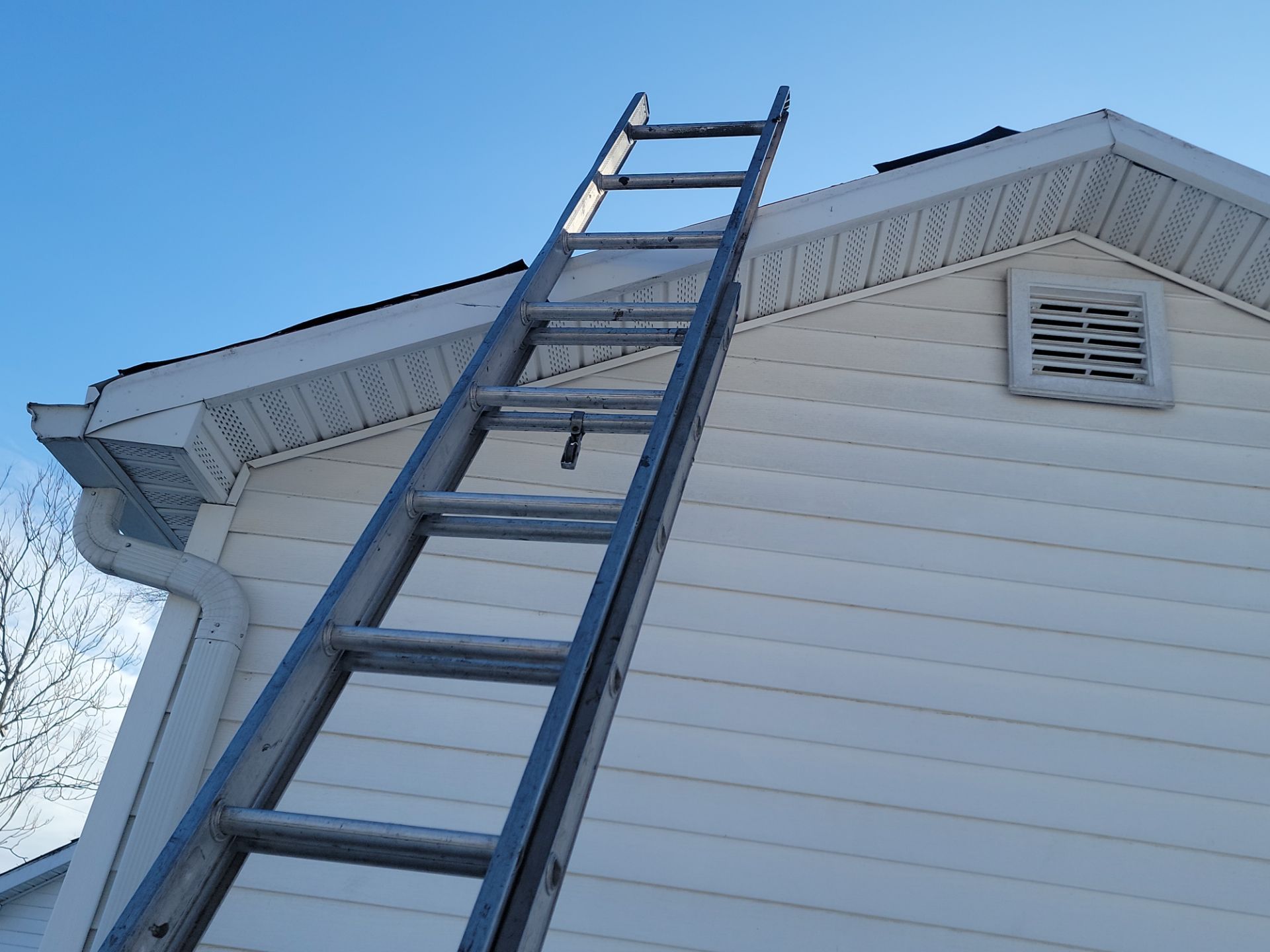 Sharkey Roof by Erie Home
