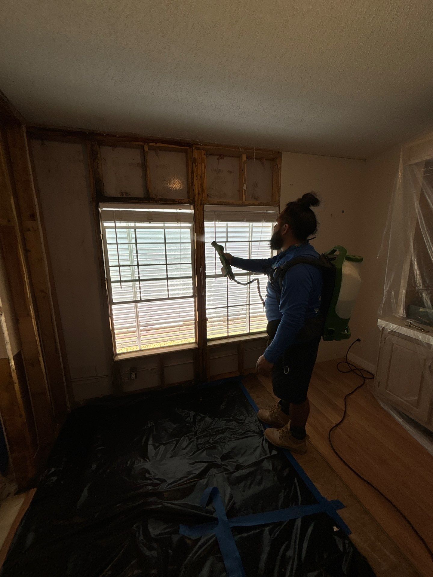 Mold Remediation Palmetto by Ampm Restoration Services 