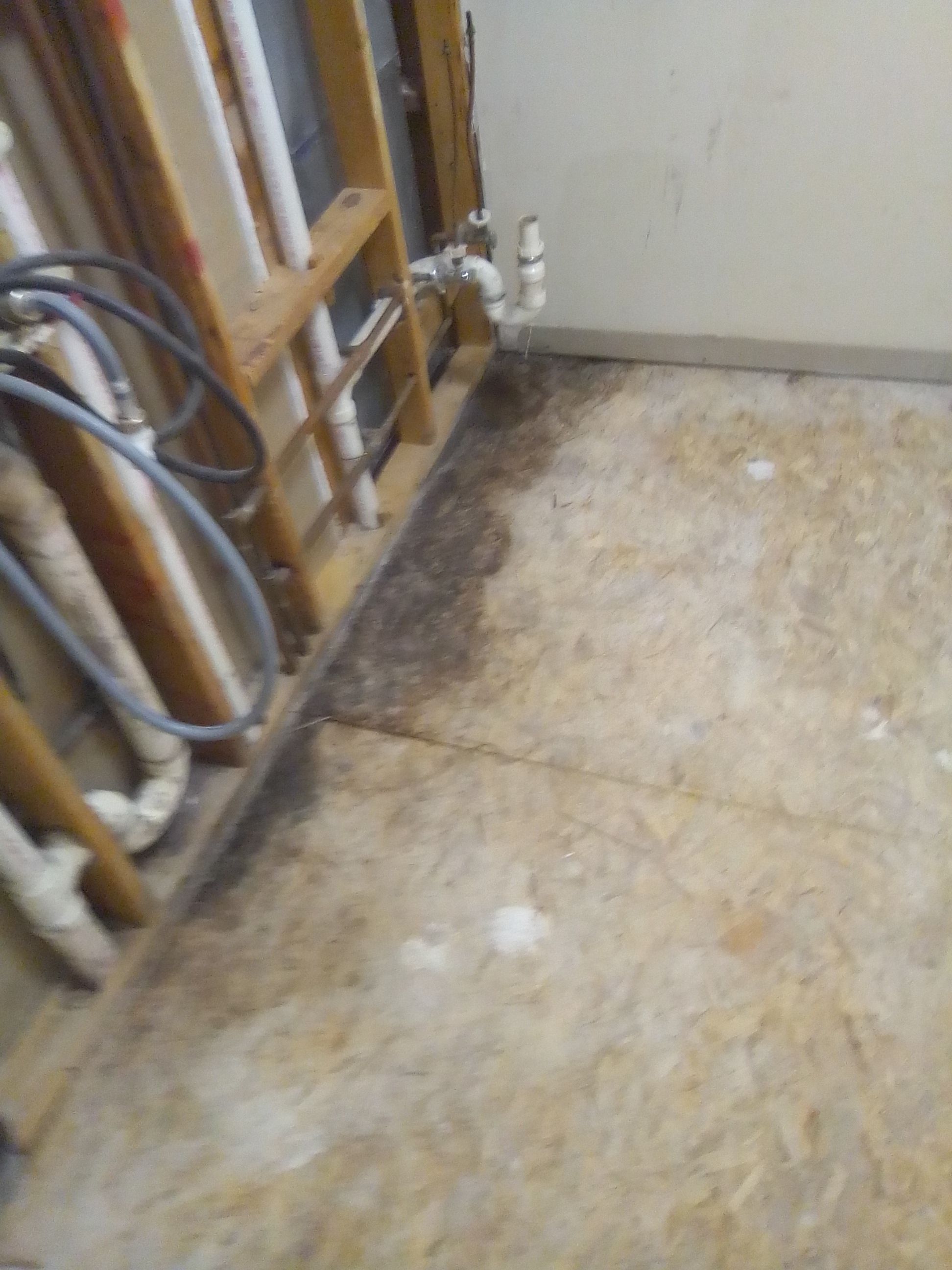 Mold Remediation/Repairs in Crestwood, KY by ANR Restoration