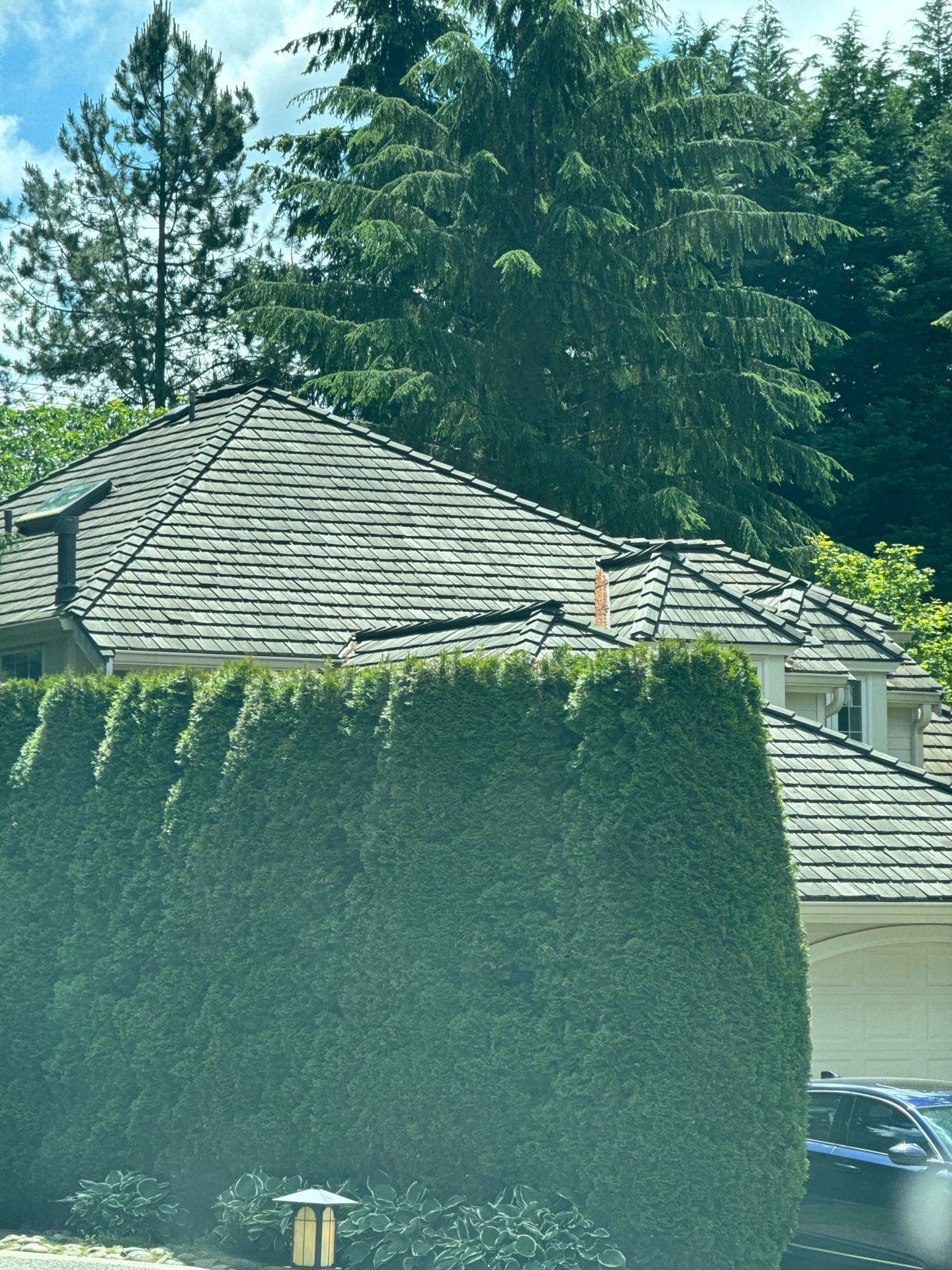Project in Mill Creek by Peaks and Valleys Construction