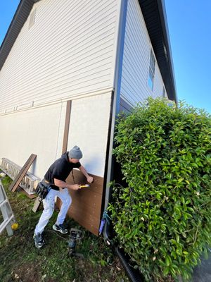 Exterior Redesign