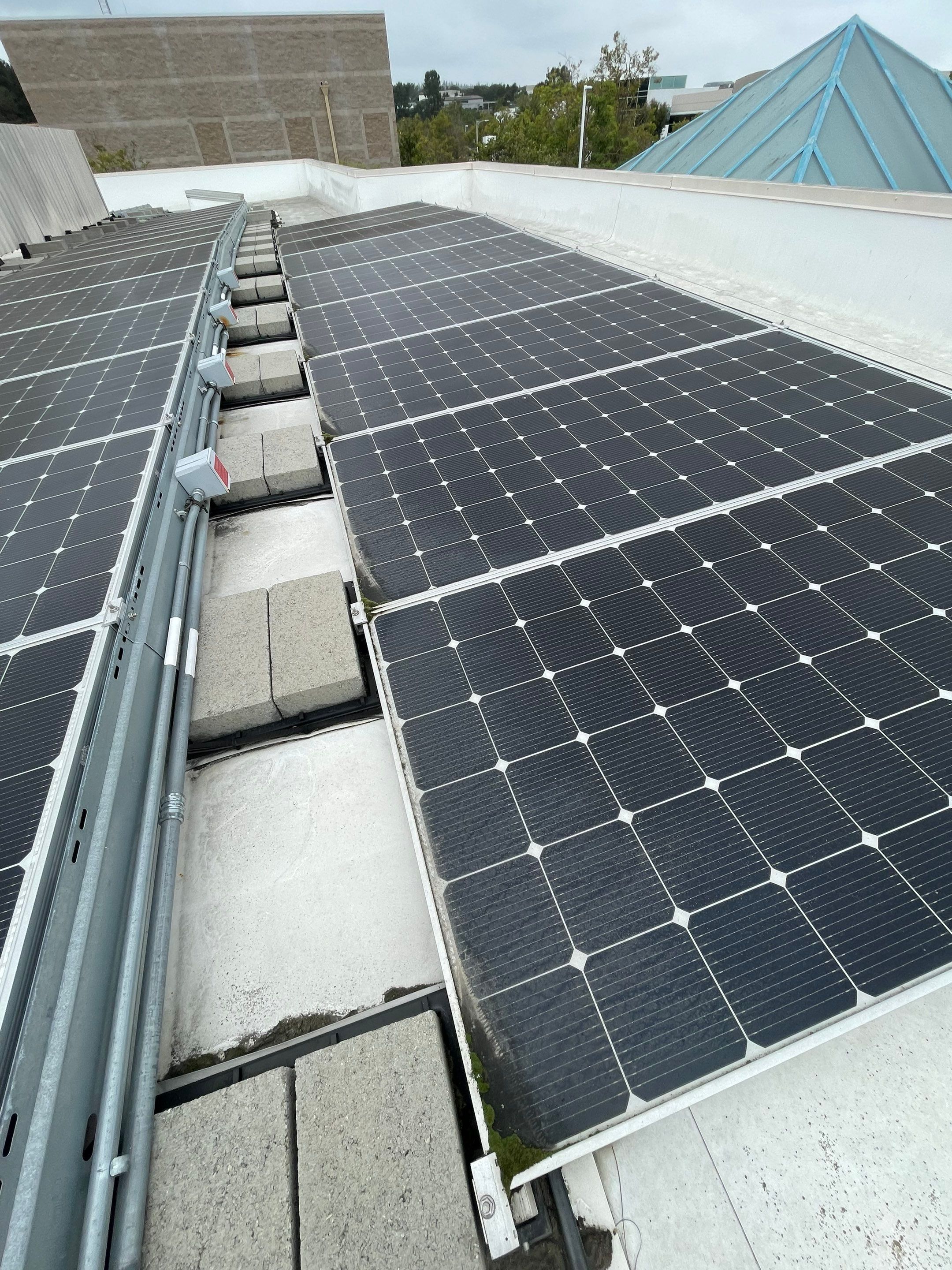 Commercial Solar Cleaning by Palm Coast Solar Cleaning