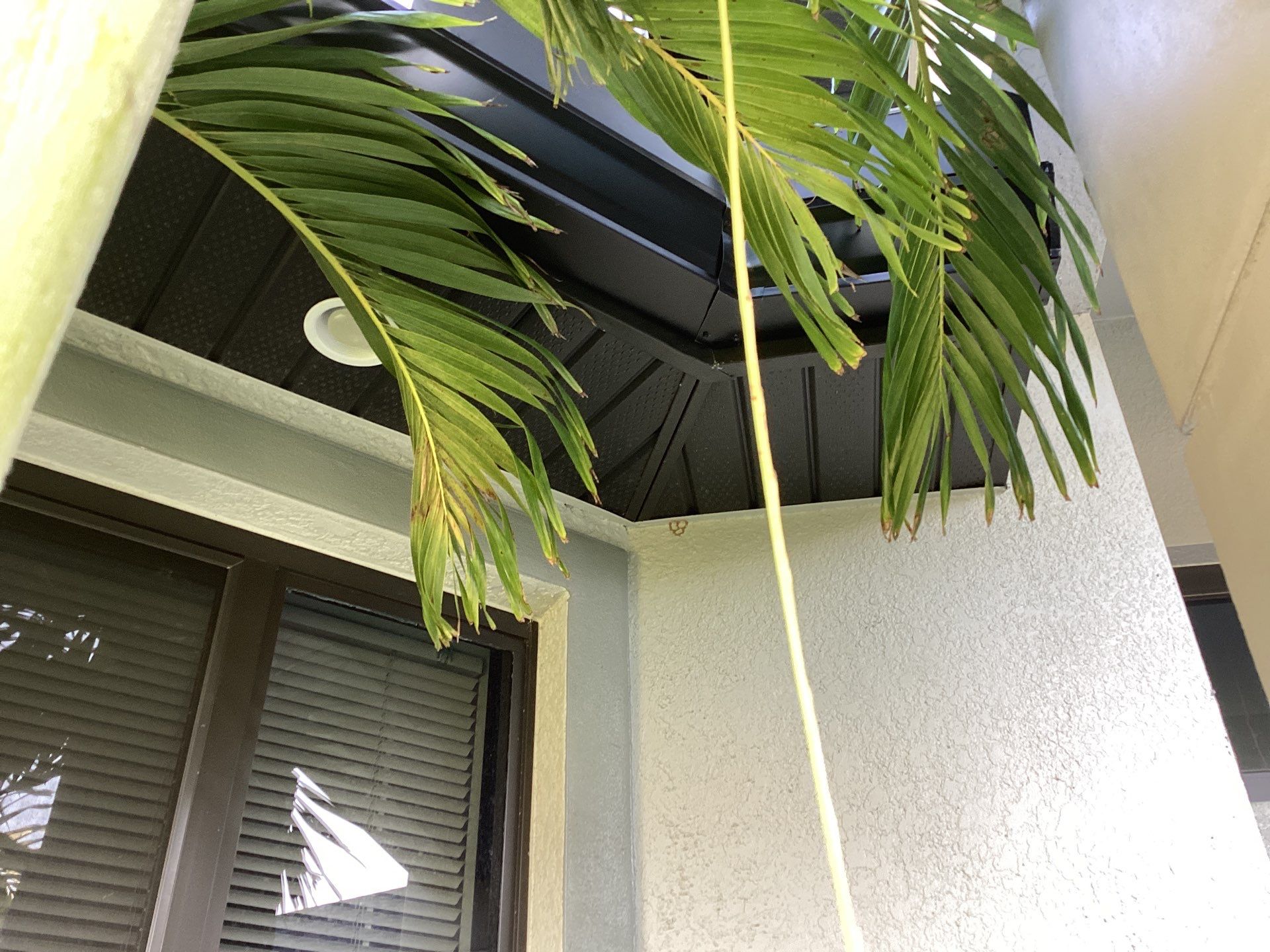 Black Seamless Gutters using 6 Inch Seamless Gutters in Cape Coral FL by Gutter Professors