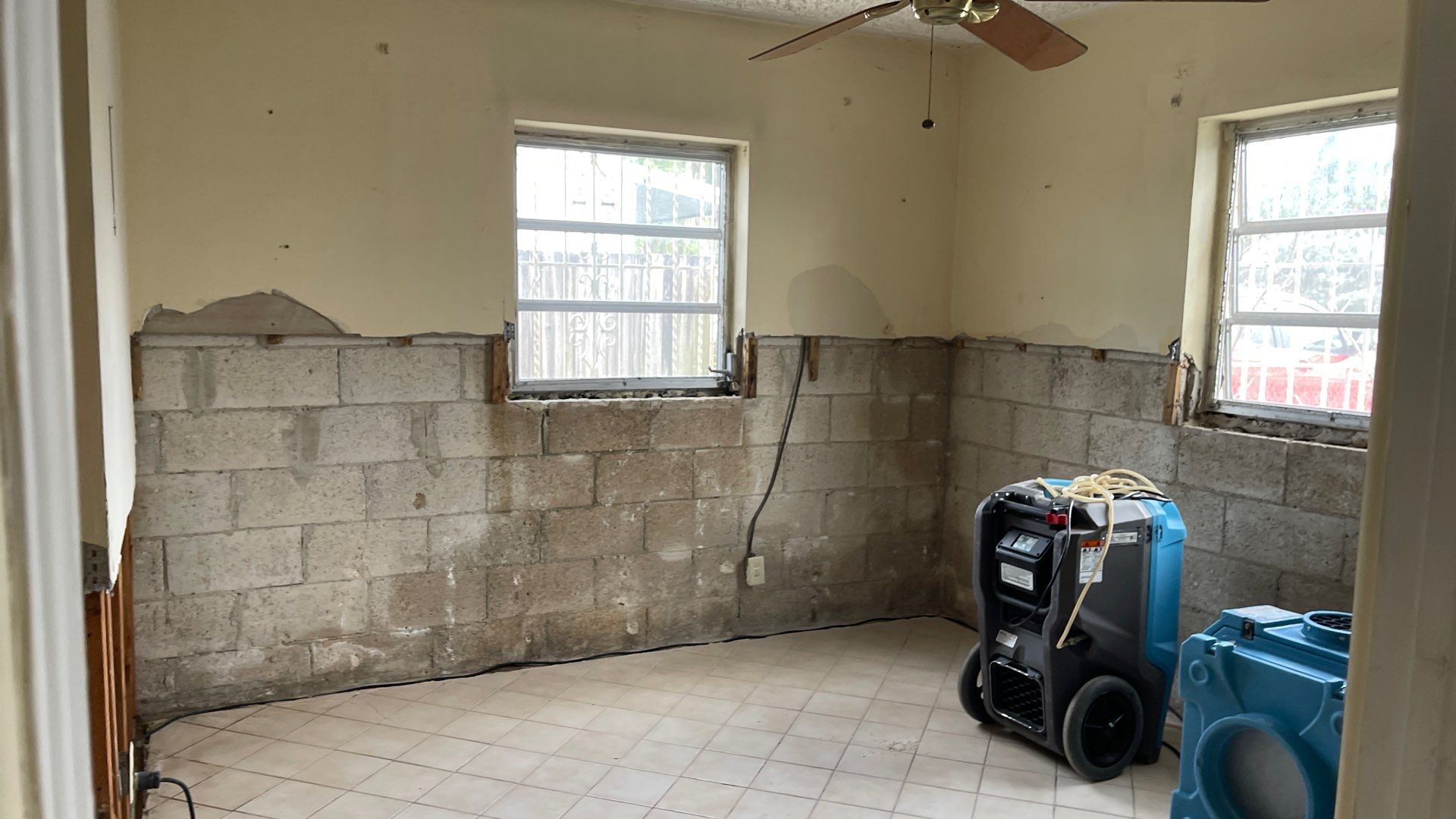 Mold Remediation  by THE RAPID TEAM