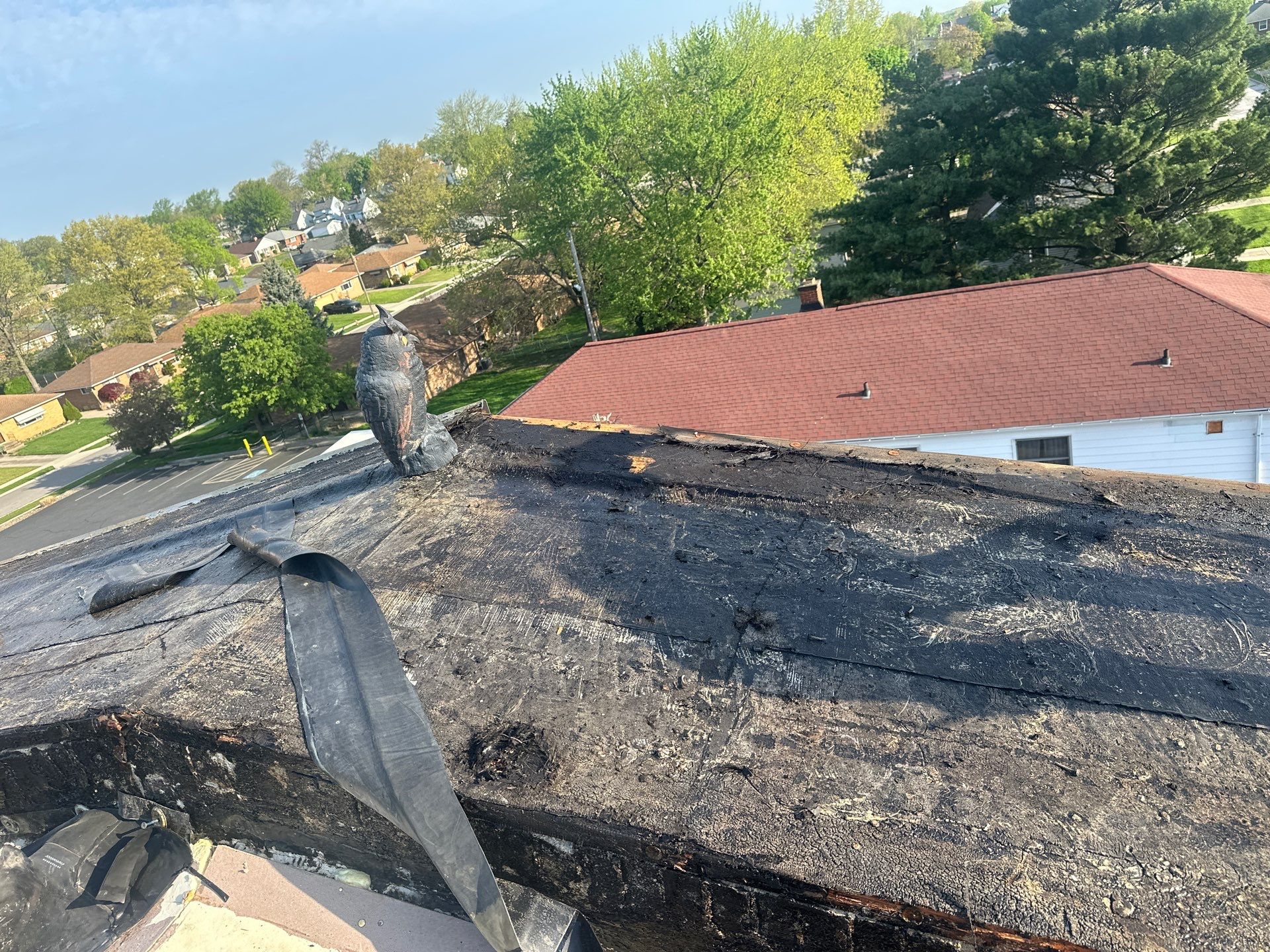 Commercial Roofing using Commercial by Absolute Roofing and Construction