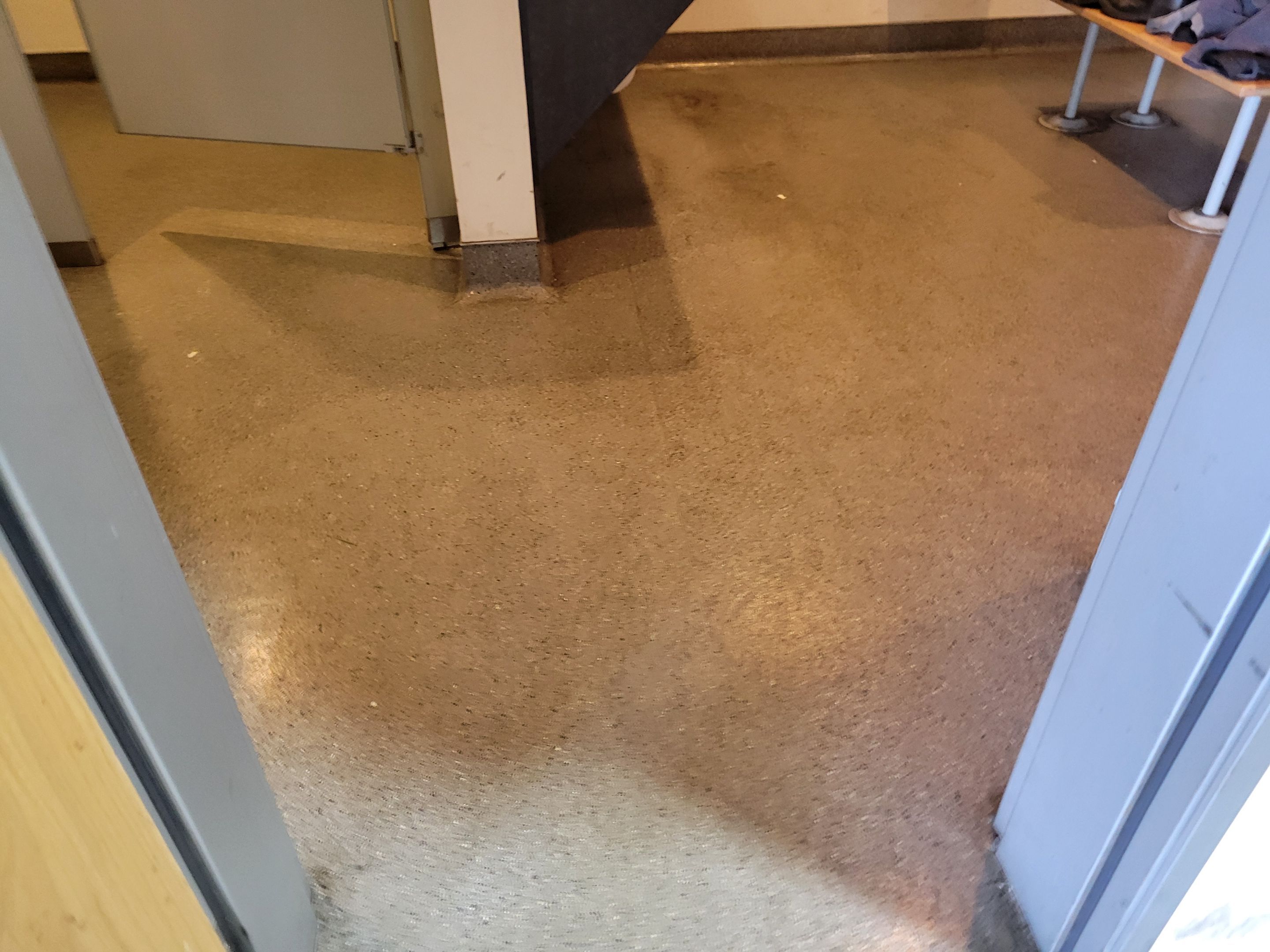 Quarterly, Commercial Carpet Cleaning by Ardent Carpet Restore LLC