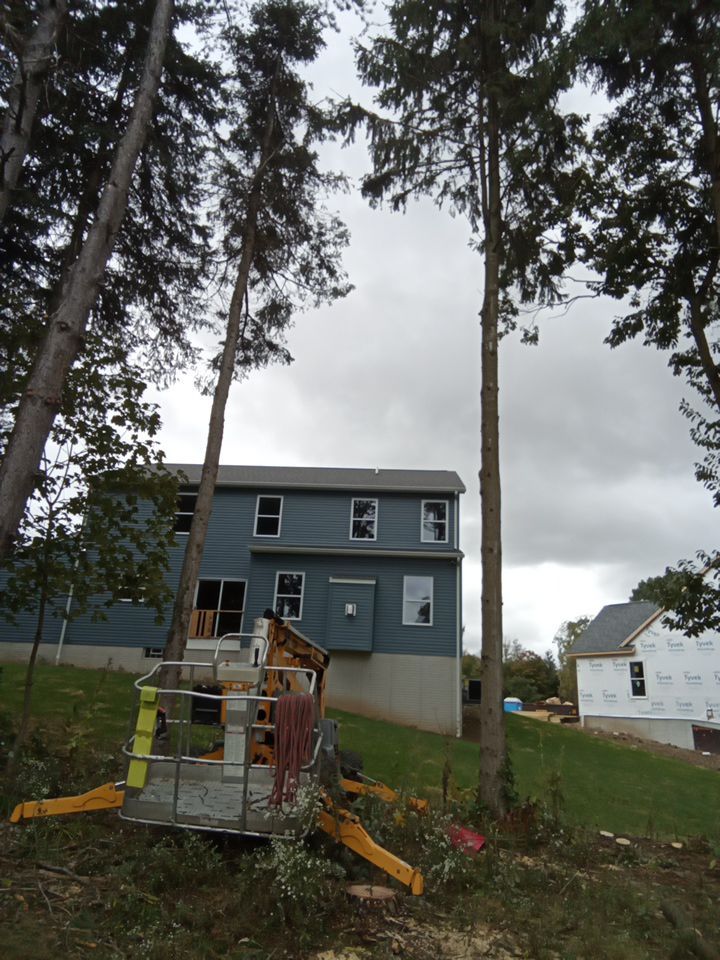 Tree Removal using Tree Removal by Mike Jones & Sons Tree Service LLC 