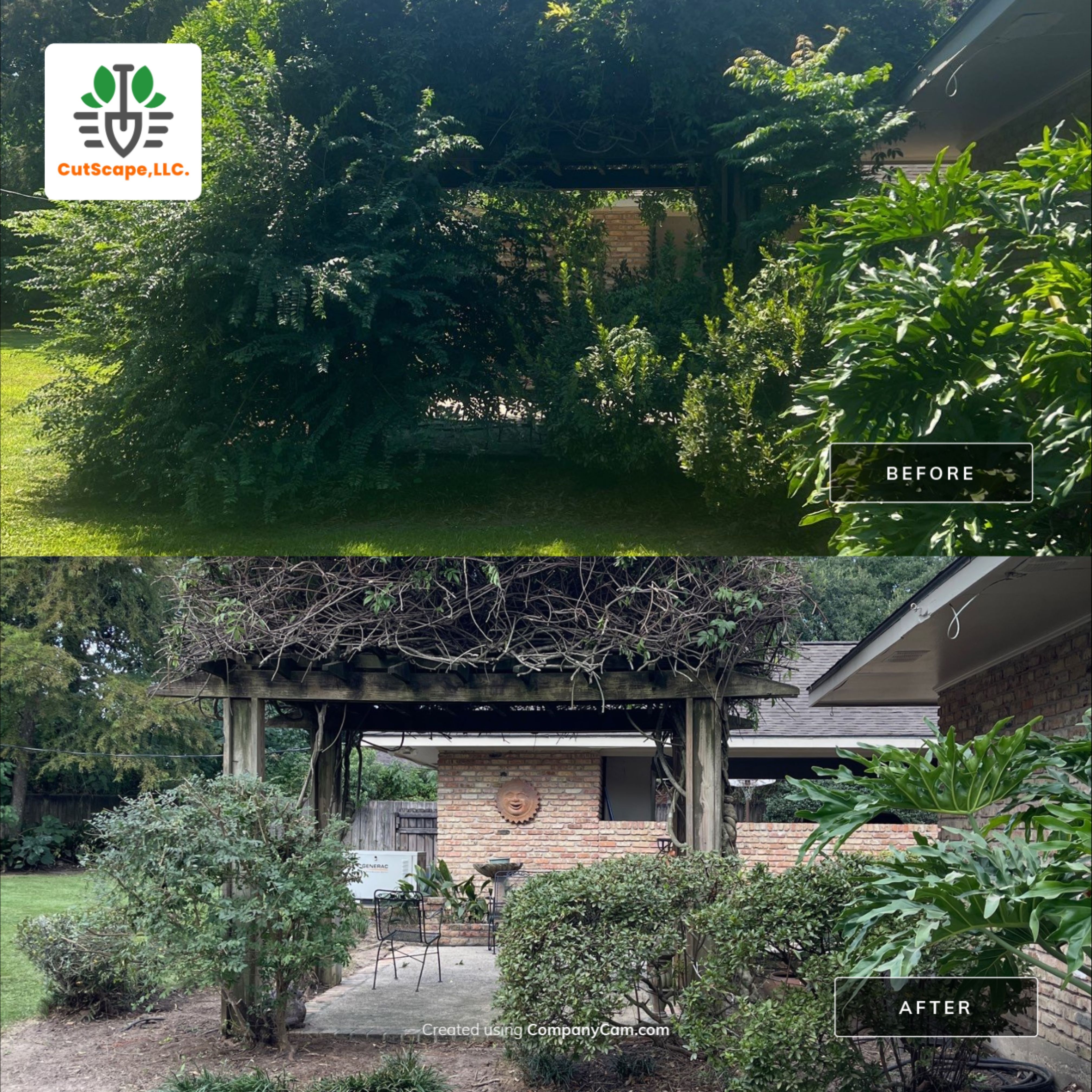 LANDSCAPE SERVICES: HERBICIDE / CLEAN OUT / TRIM / BRUSH DEBRIS REMOVAL / PROPERTY CLEAN UP by CutScape, LLC.