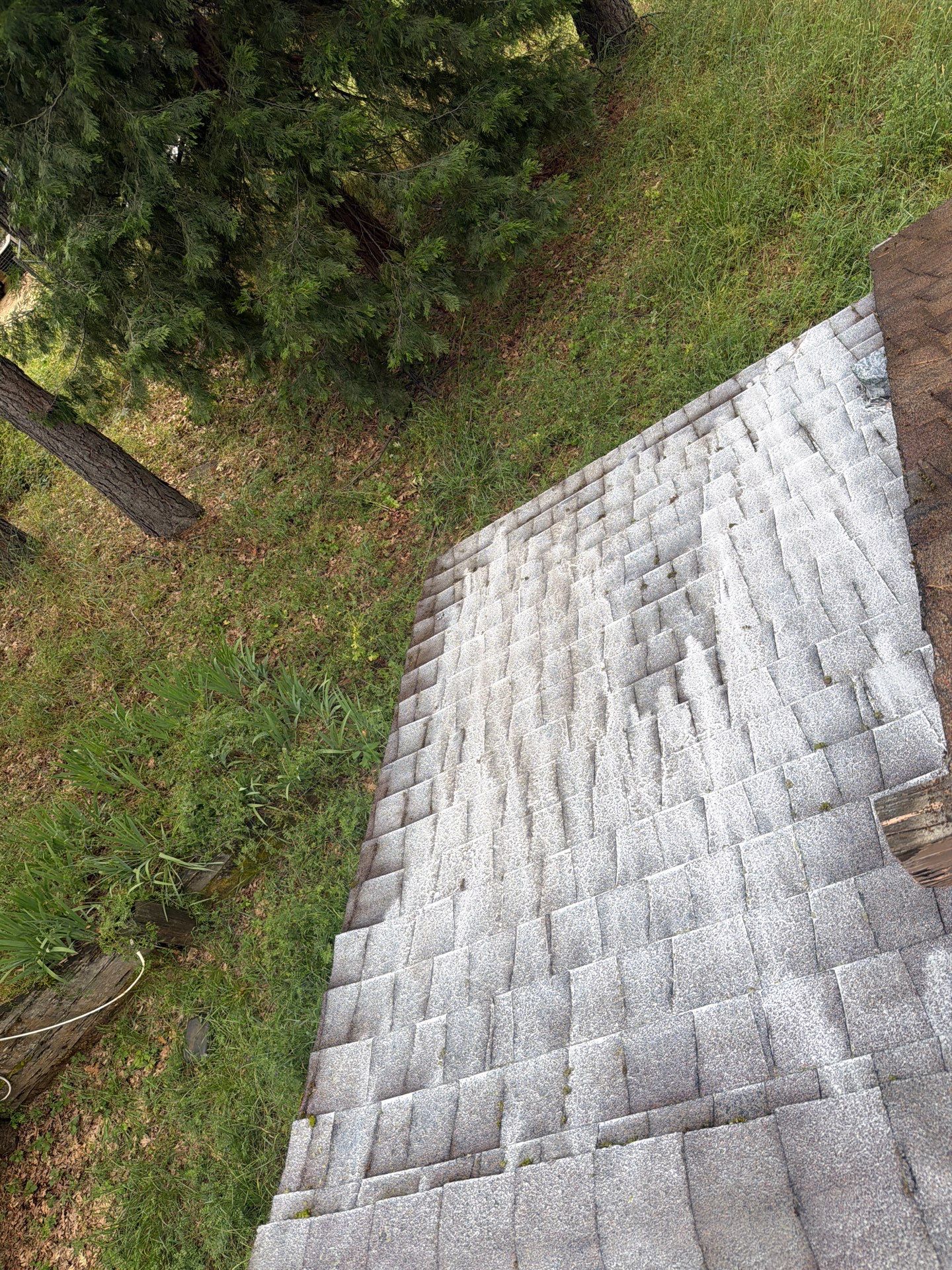 Roof Rejuvenation using Roof Maxx Treatment by Roof Maxx of Folsom