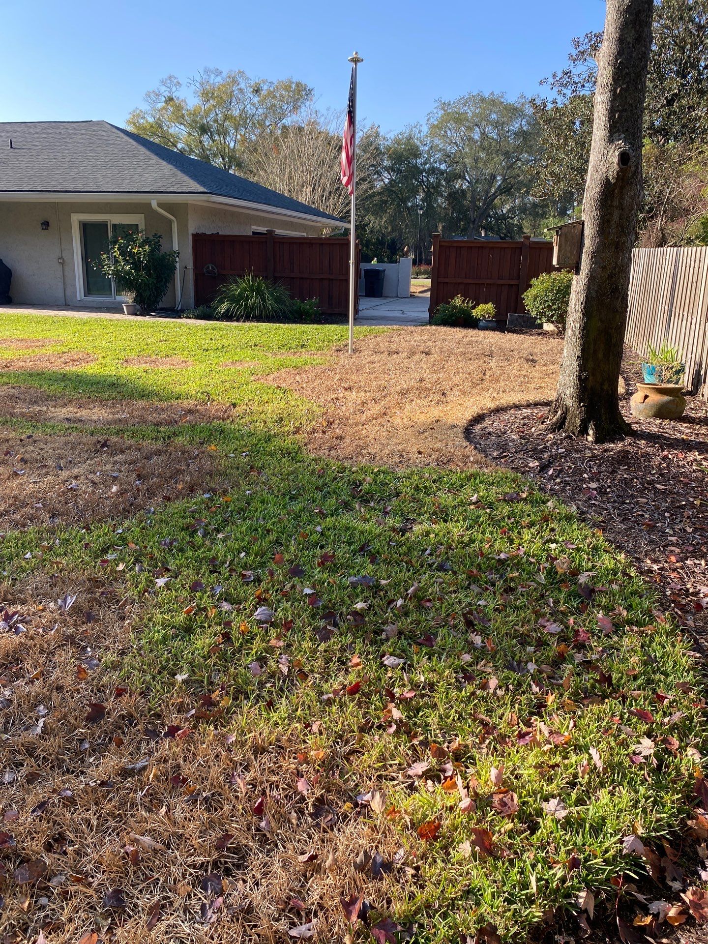 Deerwood Resident | Winter Sod Replacement by ProGreen Services