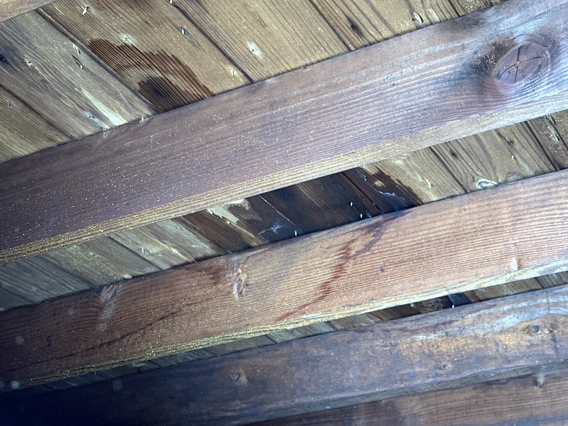 Silver Birch Shingles by Reimagine Roofing