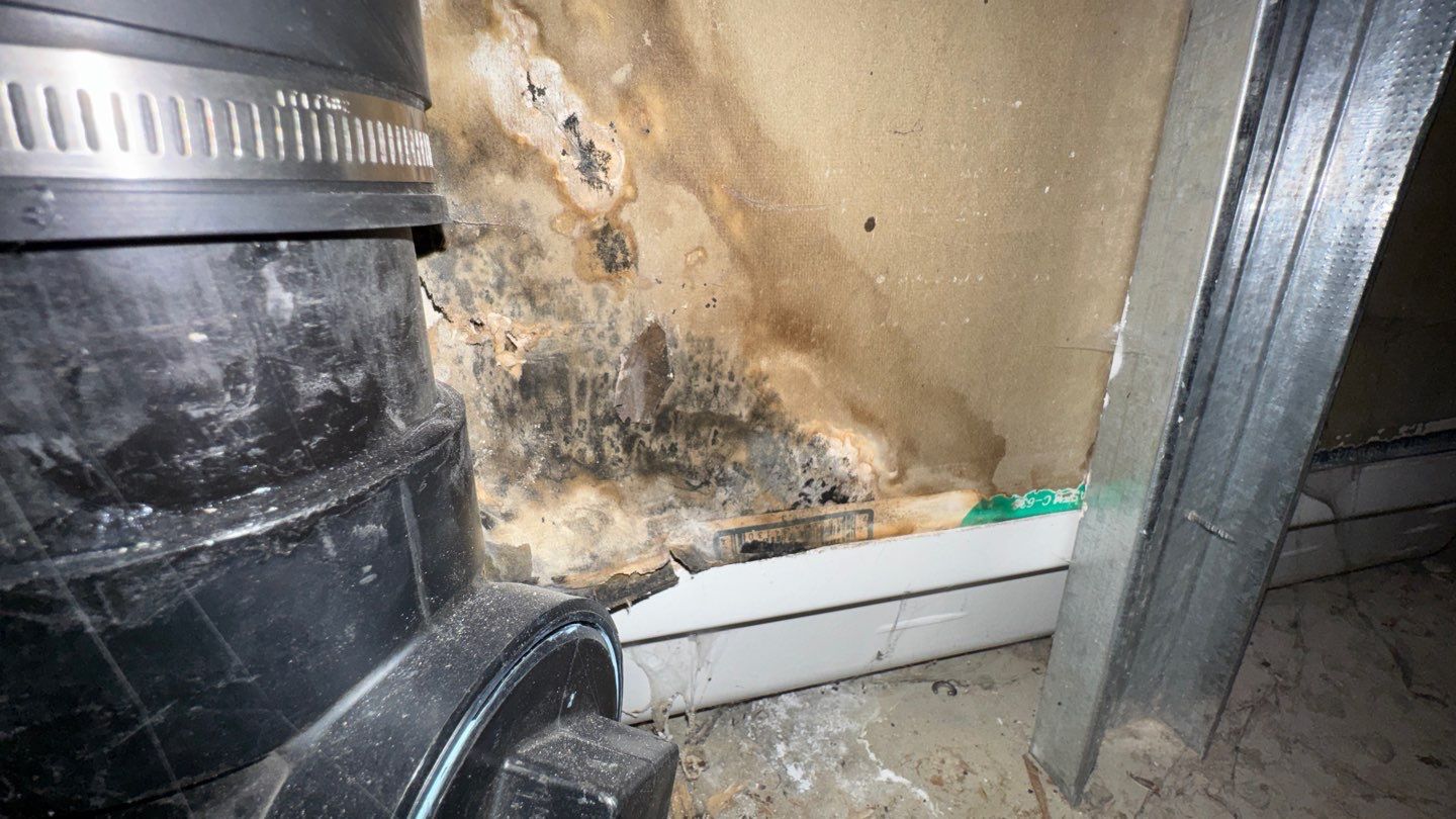 Project in Arvada by Accountable Home Services